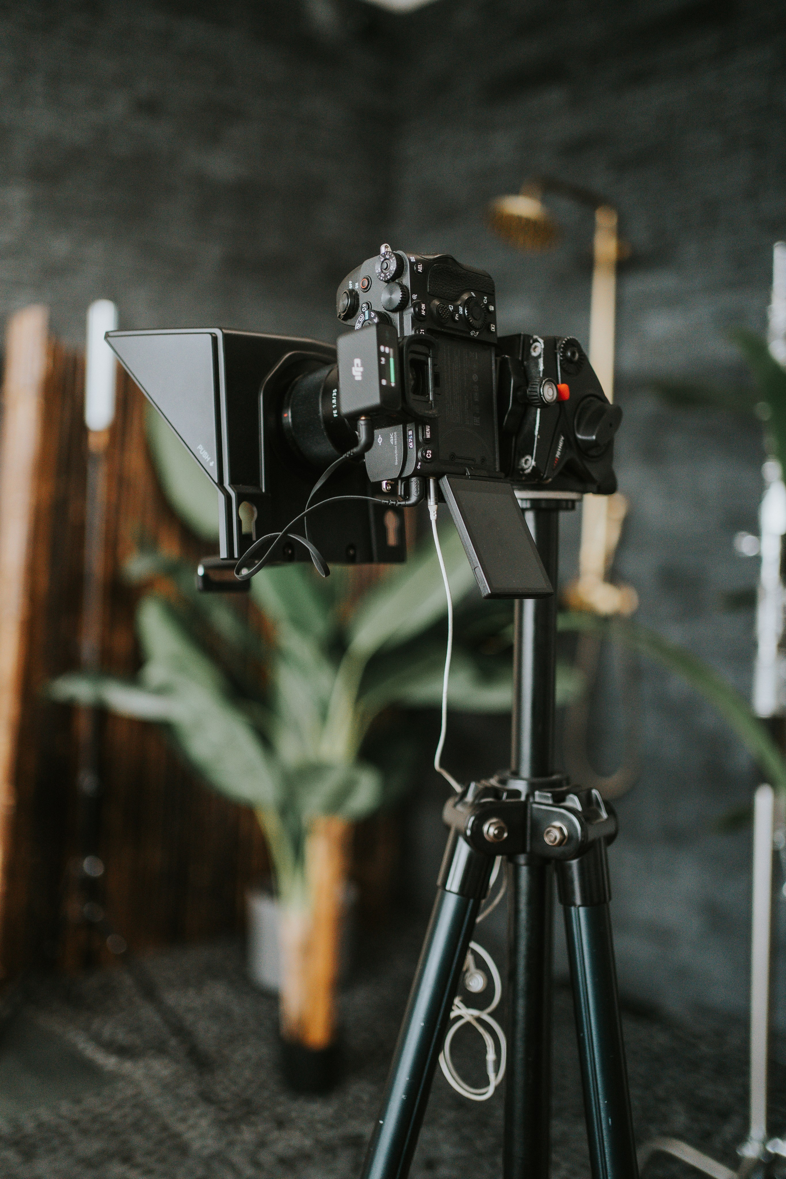 Biznesa fotosesija. Sieviešu fotogrāfe Nadja Kraukle