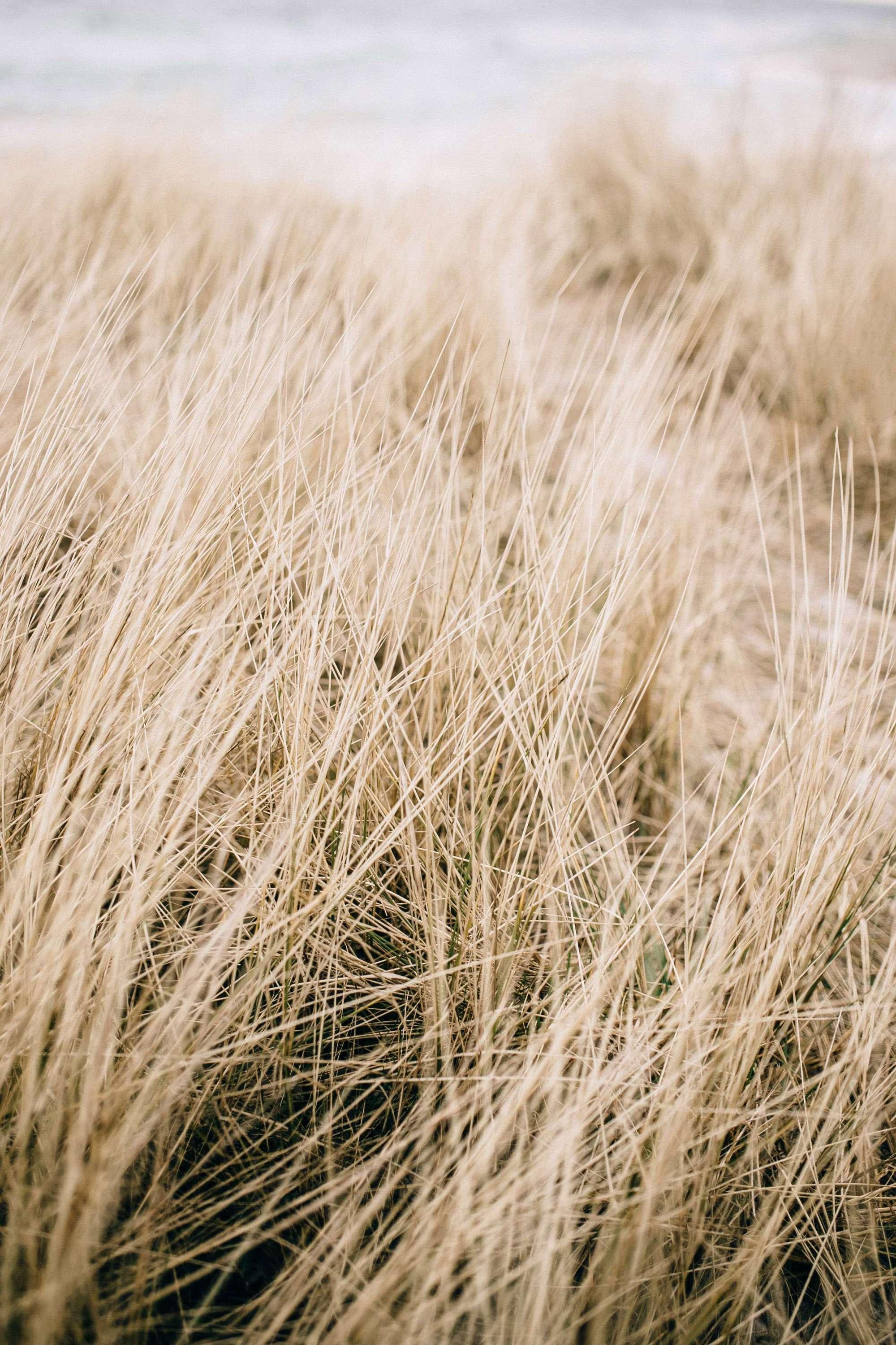 Ekaterina & Evgeniy. Destination Wedding photographer Italy, France, Germany, Spain, Poland Oleg Zaicev