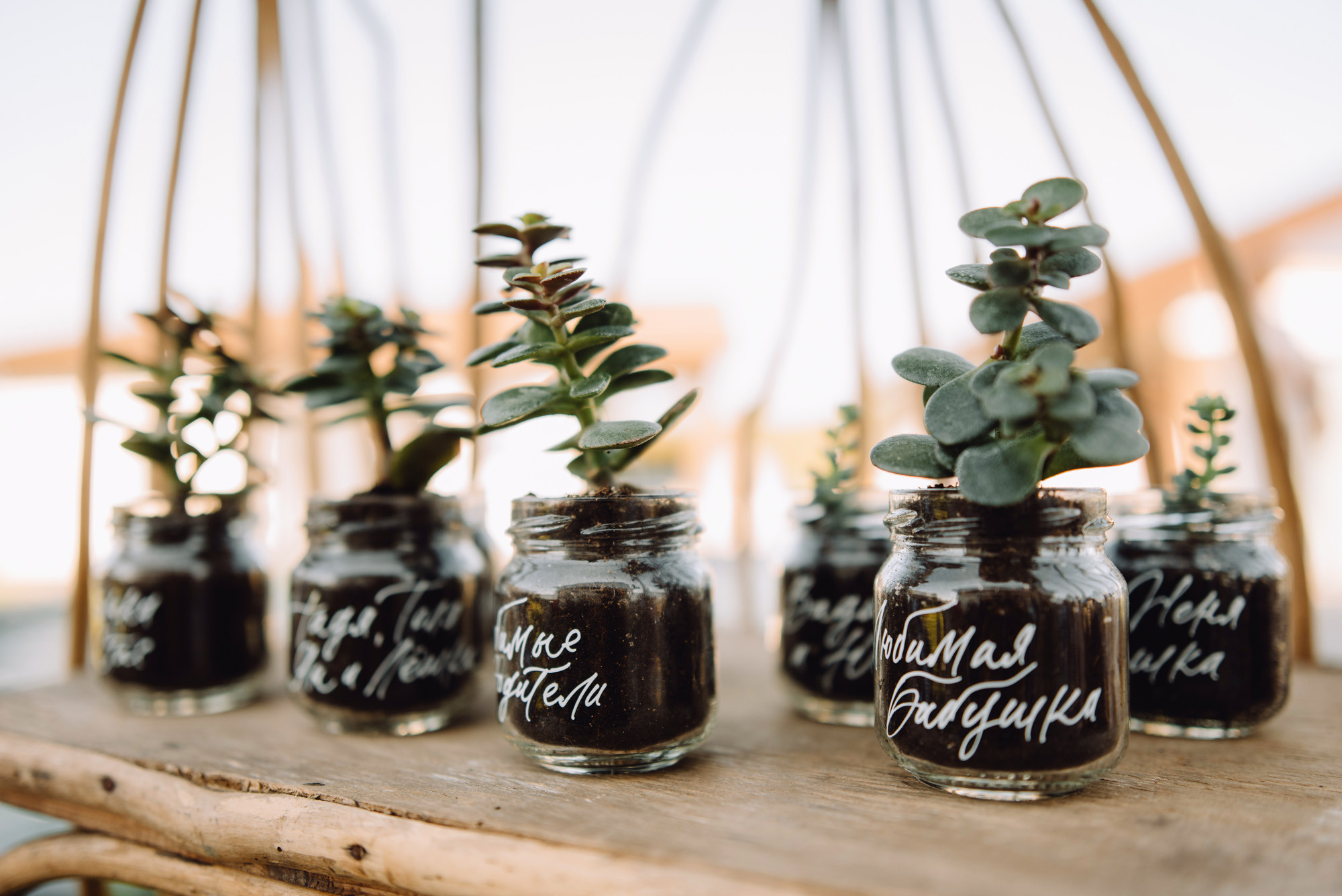 Anna & Alexander. Destination Wedding photographer Italy, France, Germany, Spain, Poland Oleg Zaicev