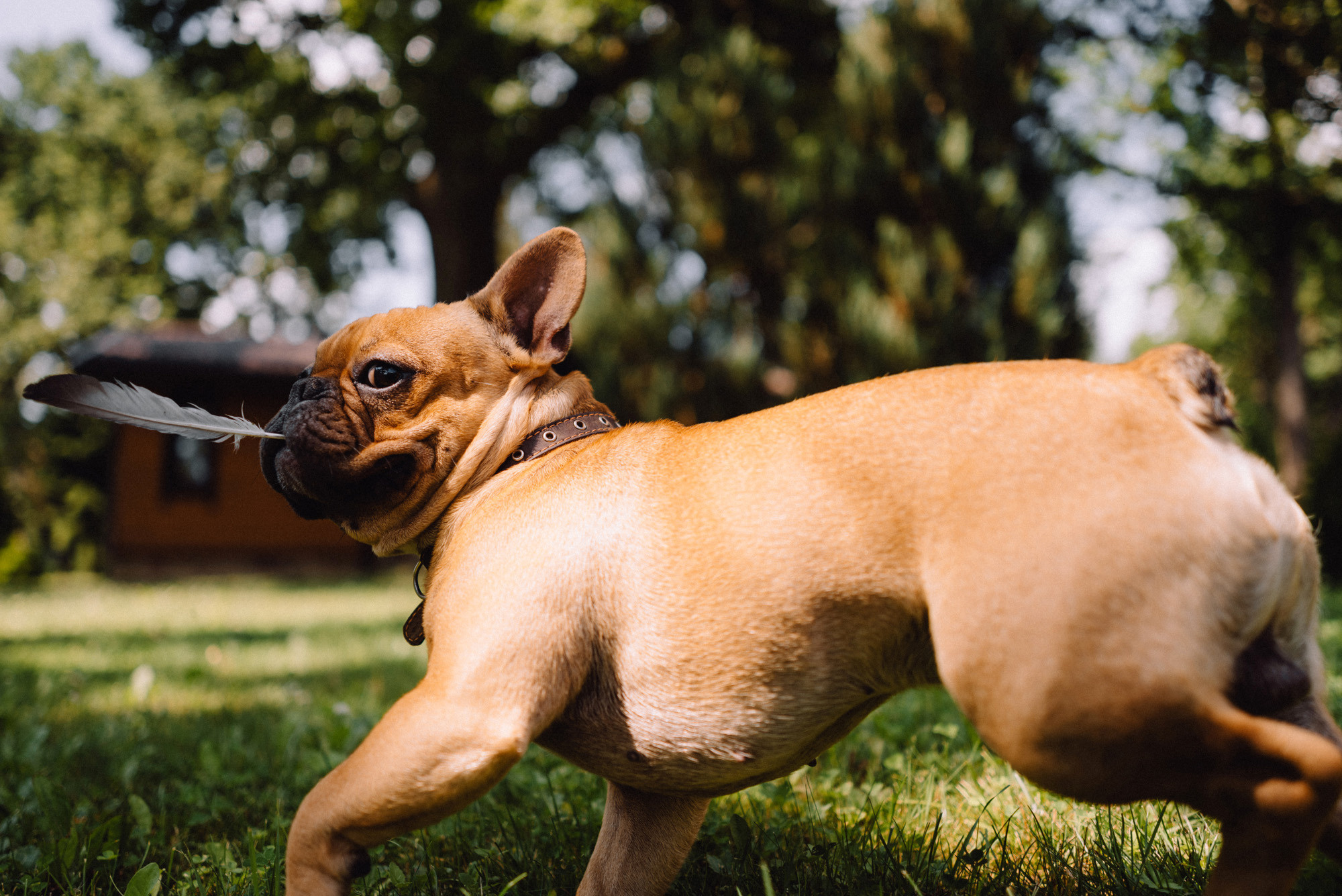 Yuliya & Evgeniy. Destination Wedding photographer Italy, France, Germany, Spain, Poland Oleg Zaicev