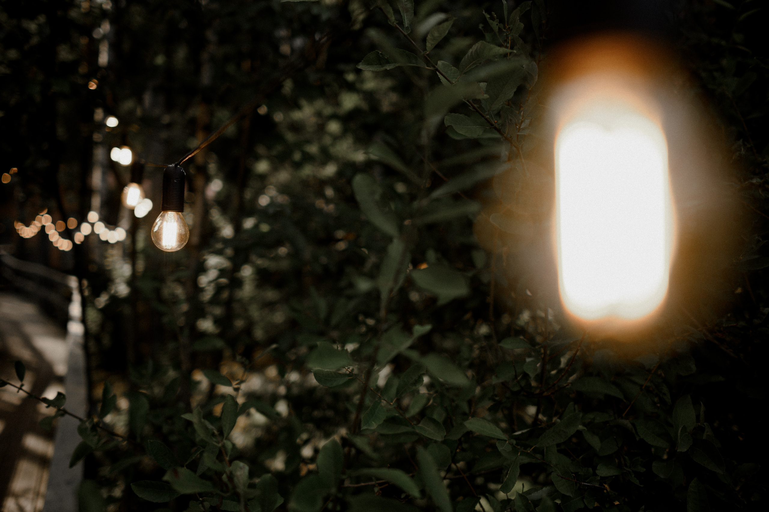 Wedding day with photograph Ketrin Solovieva