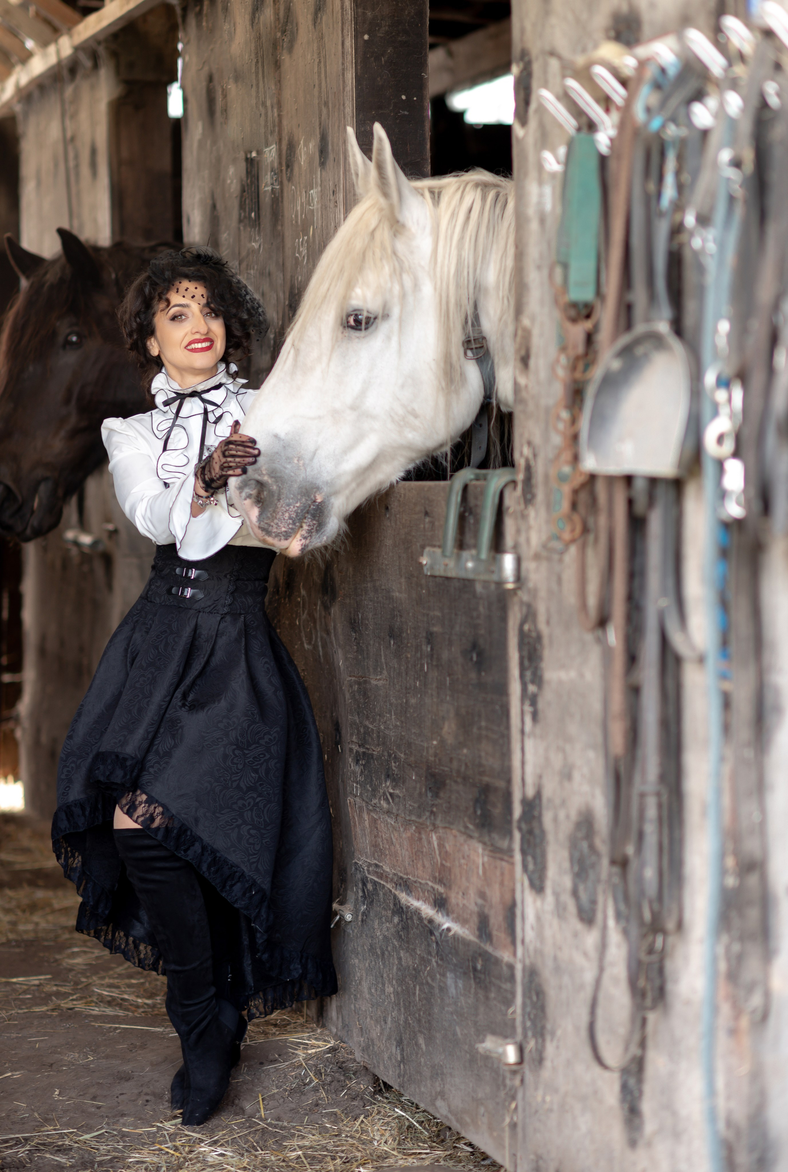 Photoshoot with Horses. Professional Photograher, Antwerpen/Belgium