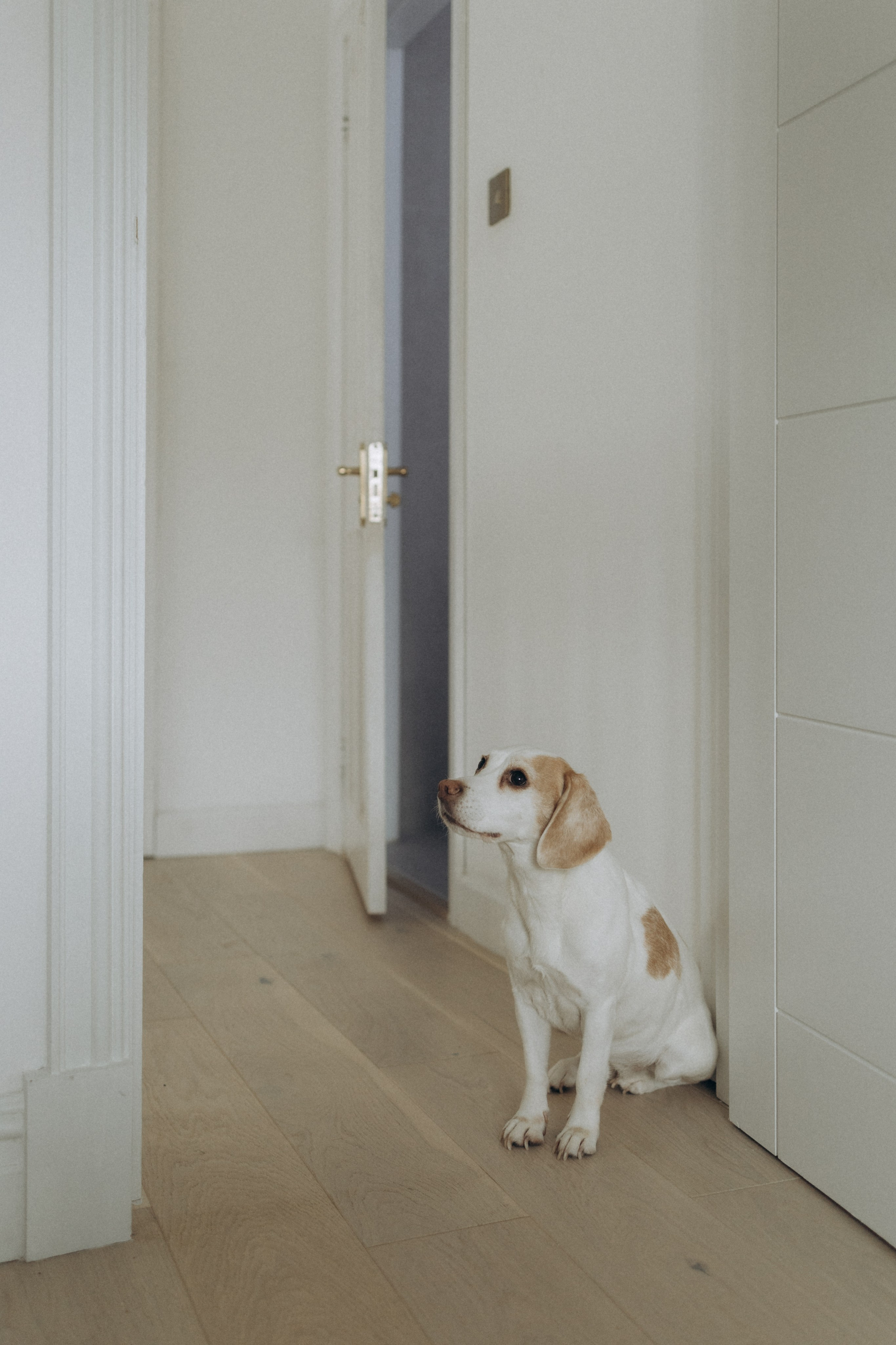 When Rafael was born. Photographer in Milton Keynes, Northampton & London — Wedding, Family & Portrait Photography