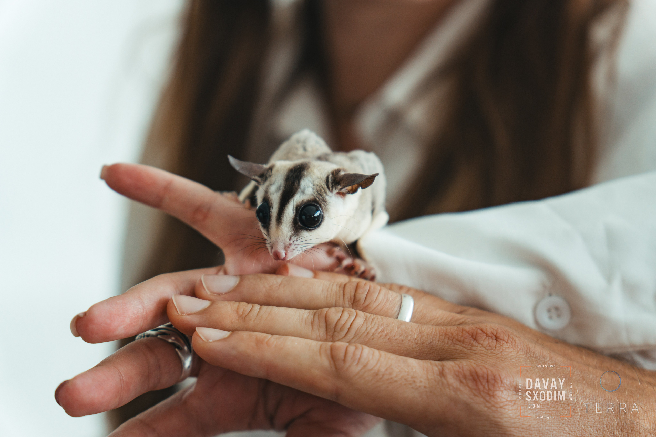 Масштабный Бизнес-нетворкинг | Фоторепортаж | Афиша | DAVAYSXODIM.com PHUKET. АФИША|ФОТОРЕПОРТАЖИ|ИВЕНТЫ|ПХУКЕТ