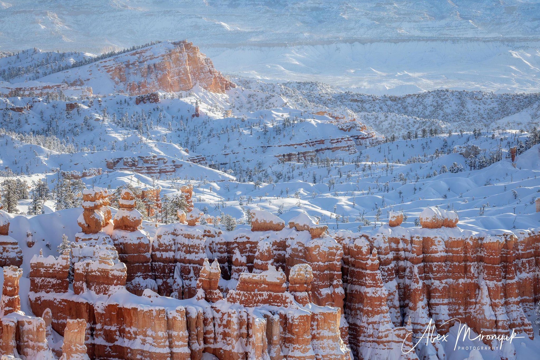 New Year In Utah. Pet, Senior, Landscape, portrait studio, photographer in Miami and Sou