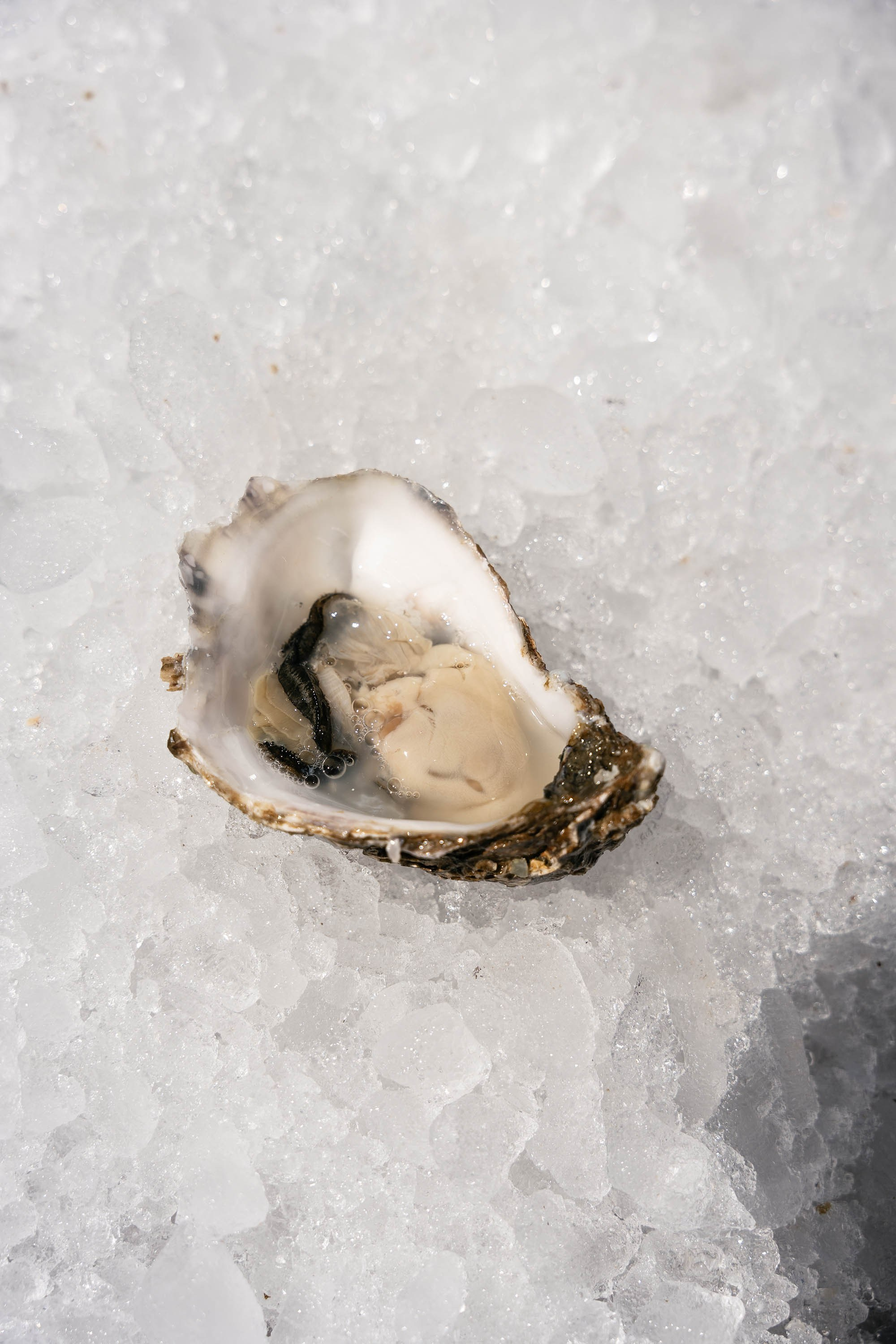 Johanna and Francesco. Destination Wedding Photographers based in Spain