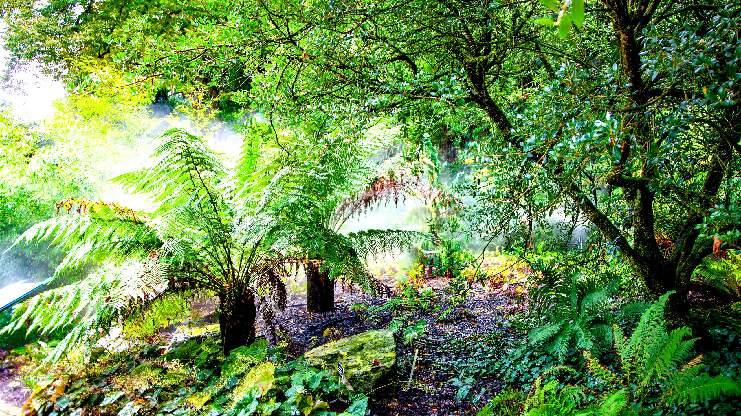187.Mainau.Germany.24.9.2024. Путешествия в формате 360......