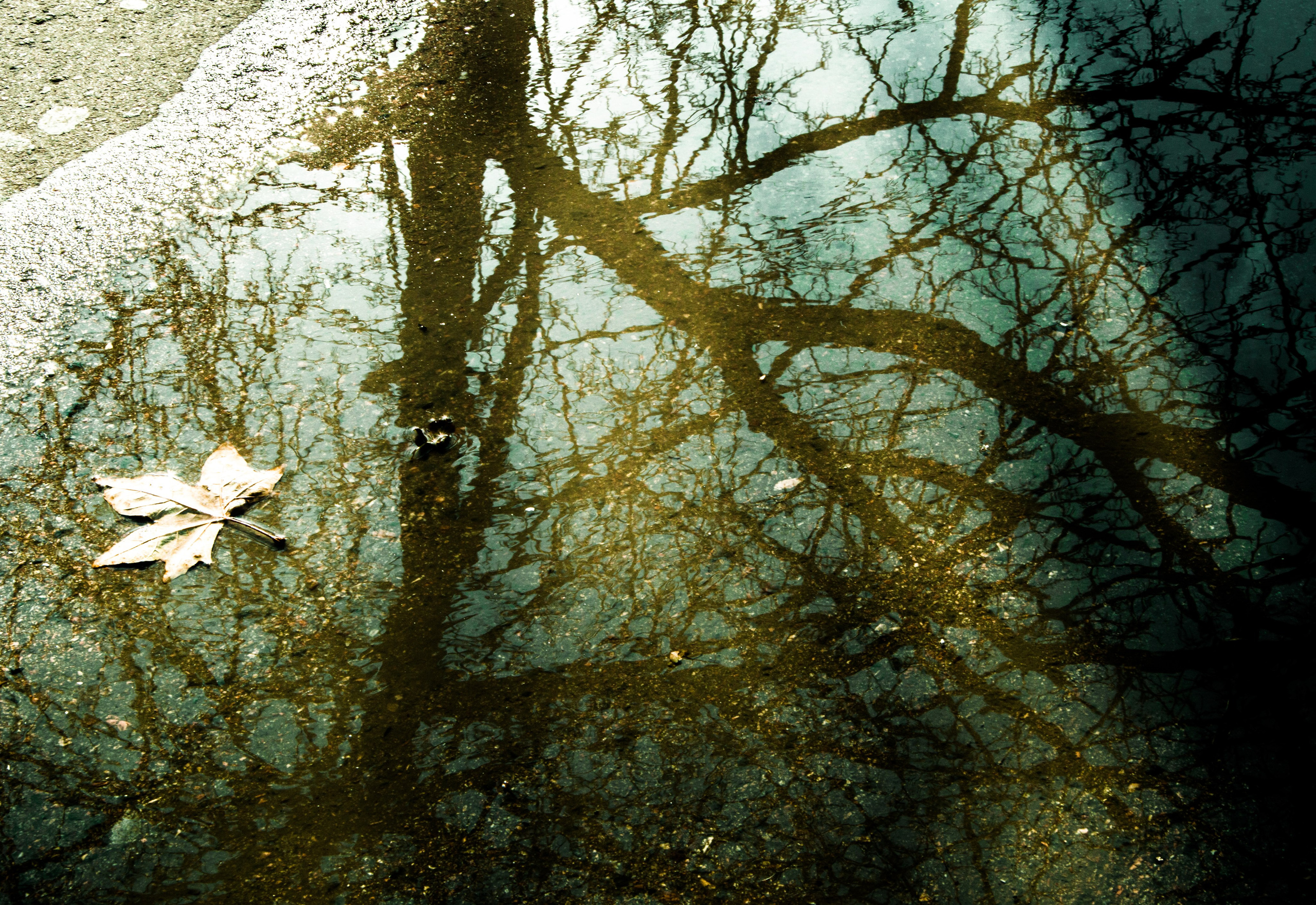 Работы учеников. Фотограф и преподаватель фотографии в Белграде