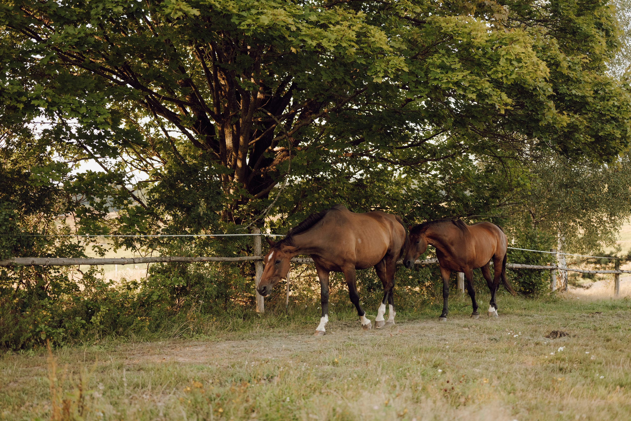 Reportaż Ślubny – Zuzia i Jasiek | Fotograf Ślubny Poznań. Ślubny fotograf Poznań | Oliwia Makara