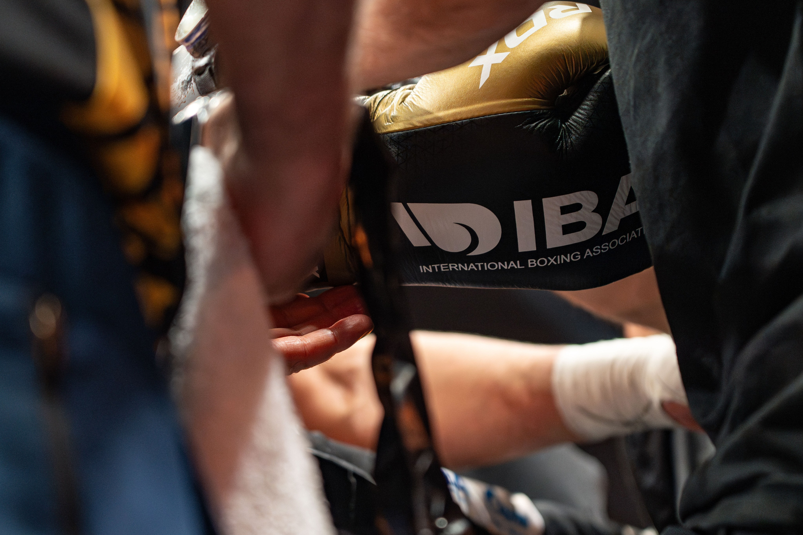 IBA Champions’ Night 2024 in Tashkent. Георгий Намазов | Фотограф в Ташкенте