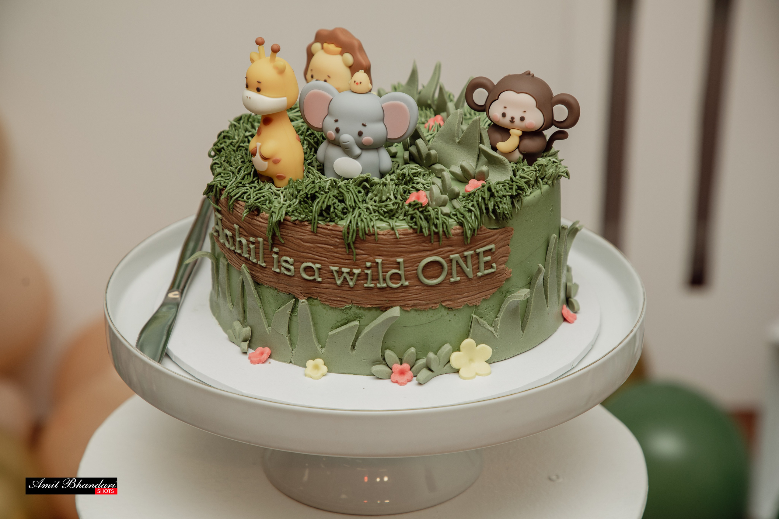 Ahil’s 1st Birthday. Freelance Photographer in Newcastle & Central Coast