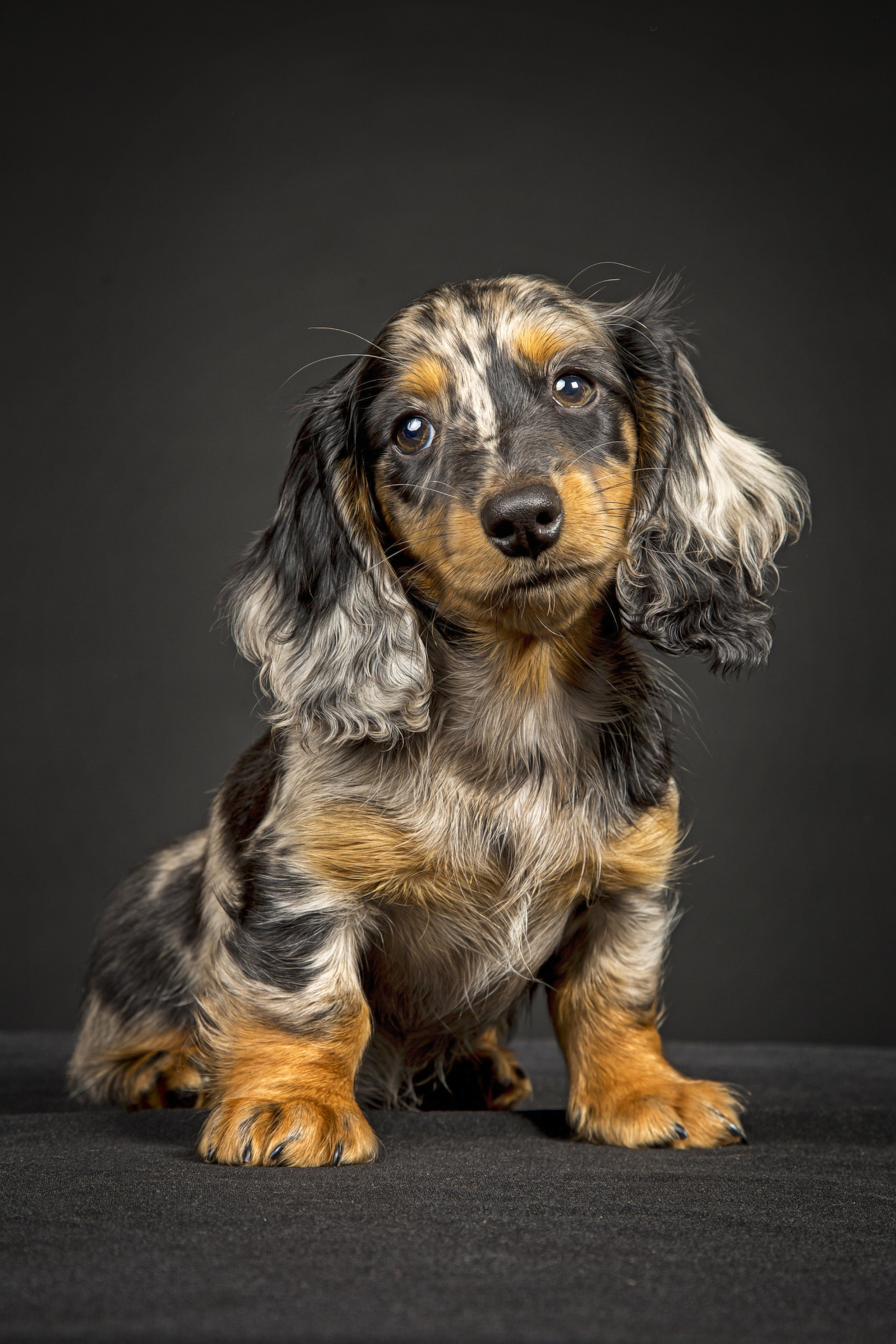 Veera. Фотограф в Таллине Виктория Баранова |фотосессии и обучение / Photographer Viktoria Baranova