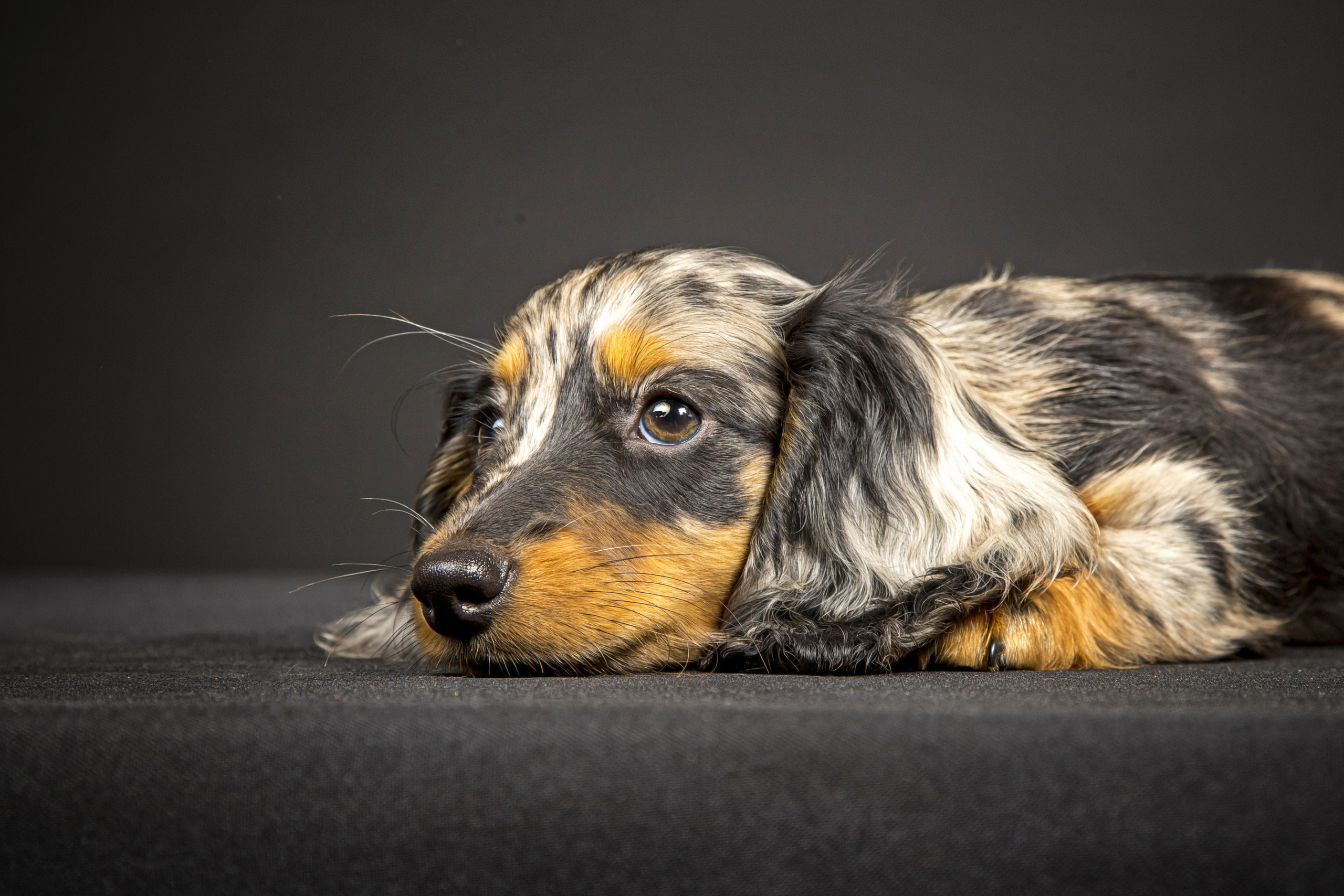 Veera. Фотограф в Таллине Виктория Баранова |фотосессии и обучение / Photographer Viktoria Baranova