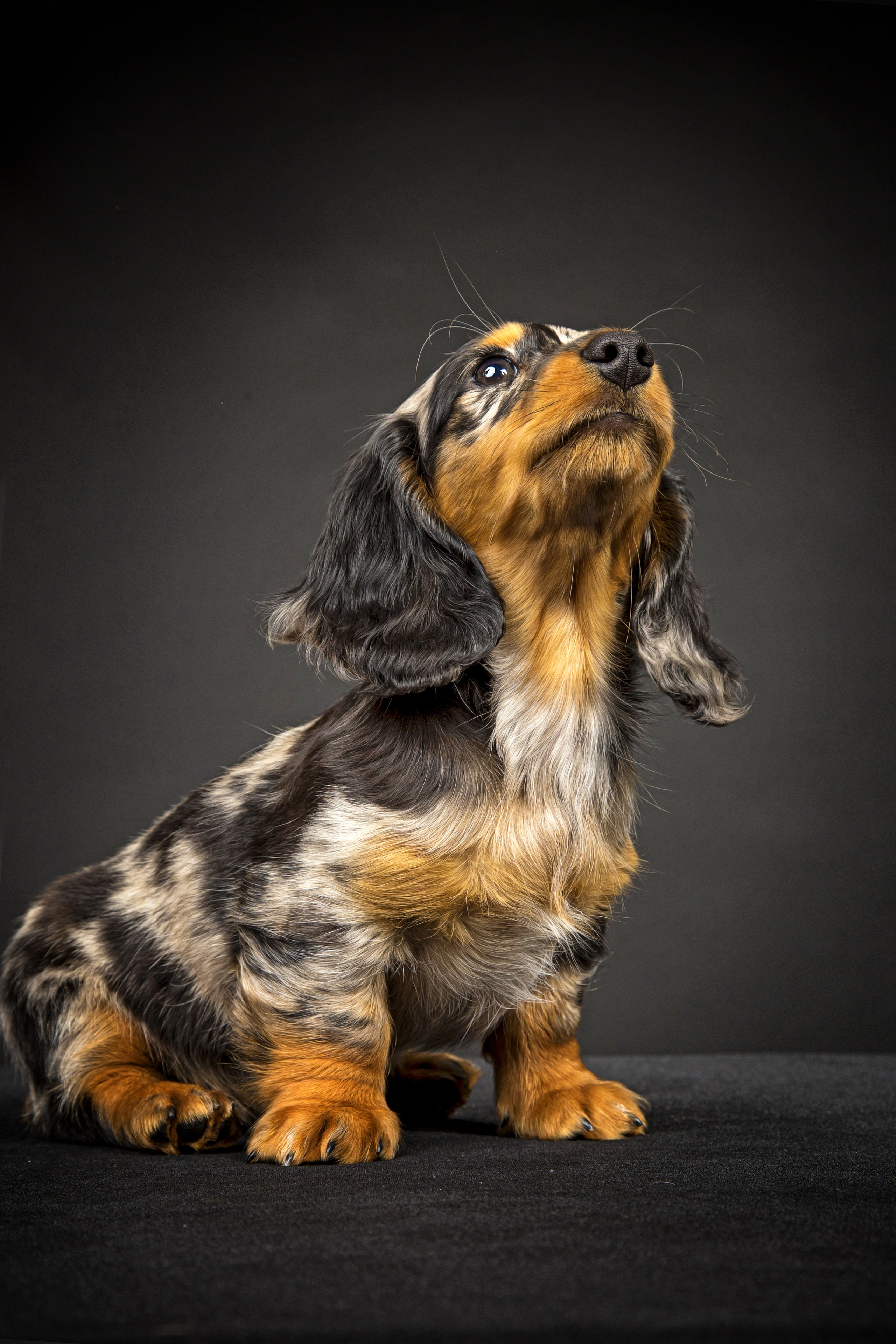 Veera. Фотограф в Таллине Виктория Баранова |фотосессии и обучение / Photographer Viktoria Baranova