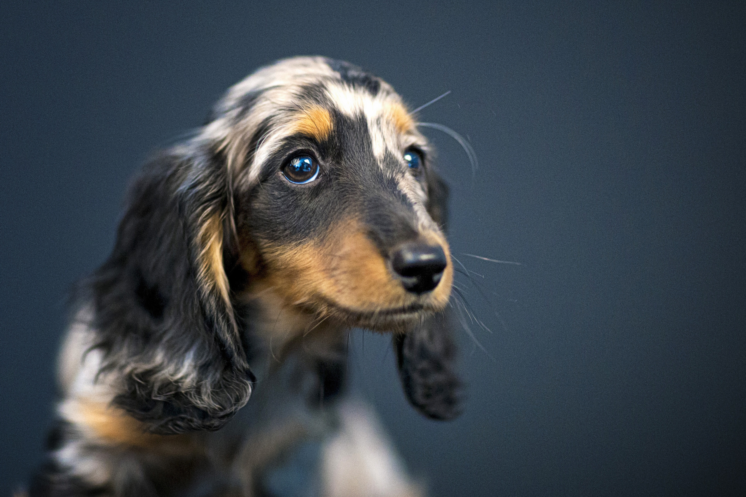 Veera. Фотограф в Таллине Виктория Баранова |фотосессии и обучение / Photographer Viktoria Baranova