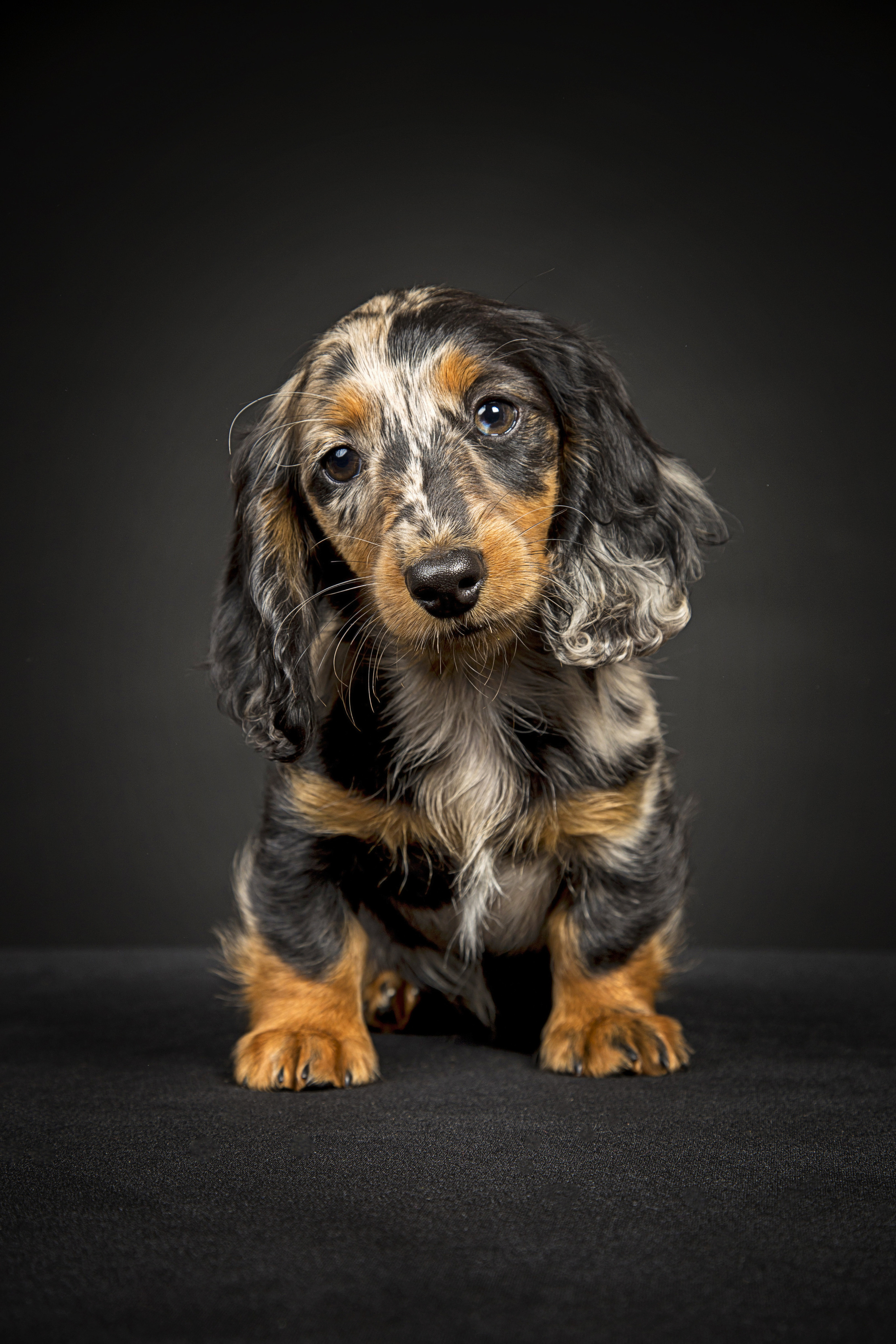 Veera. Фотограф в Таллине Виктория Баранова |фотосессии и обучение / Photographer Viktoria Baranova