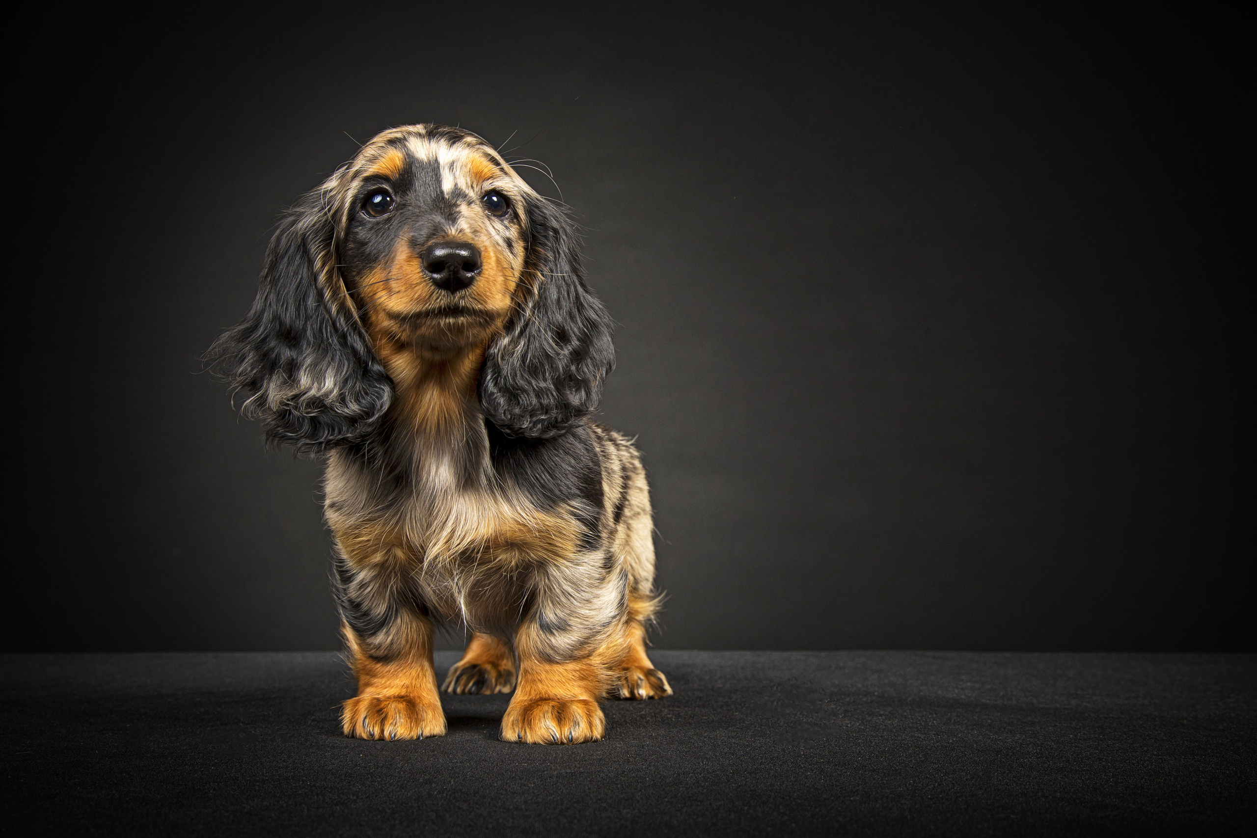 Veera. Фотограф в Таллине Виктория Баранова |фотосессии и обучение / Photographer Viktoria Baranova