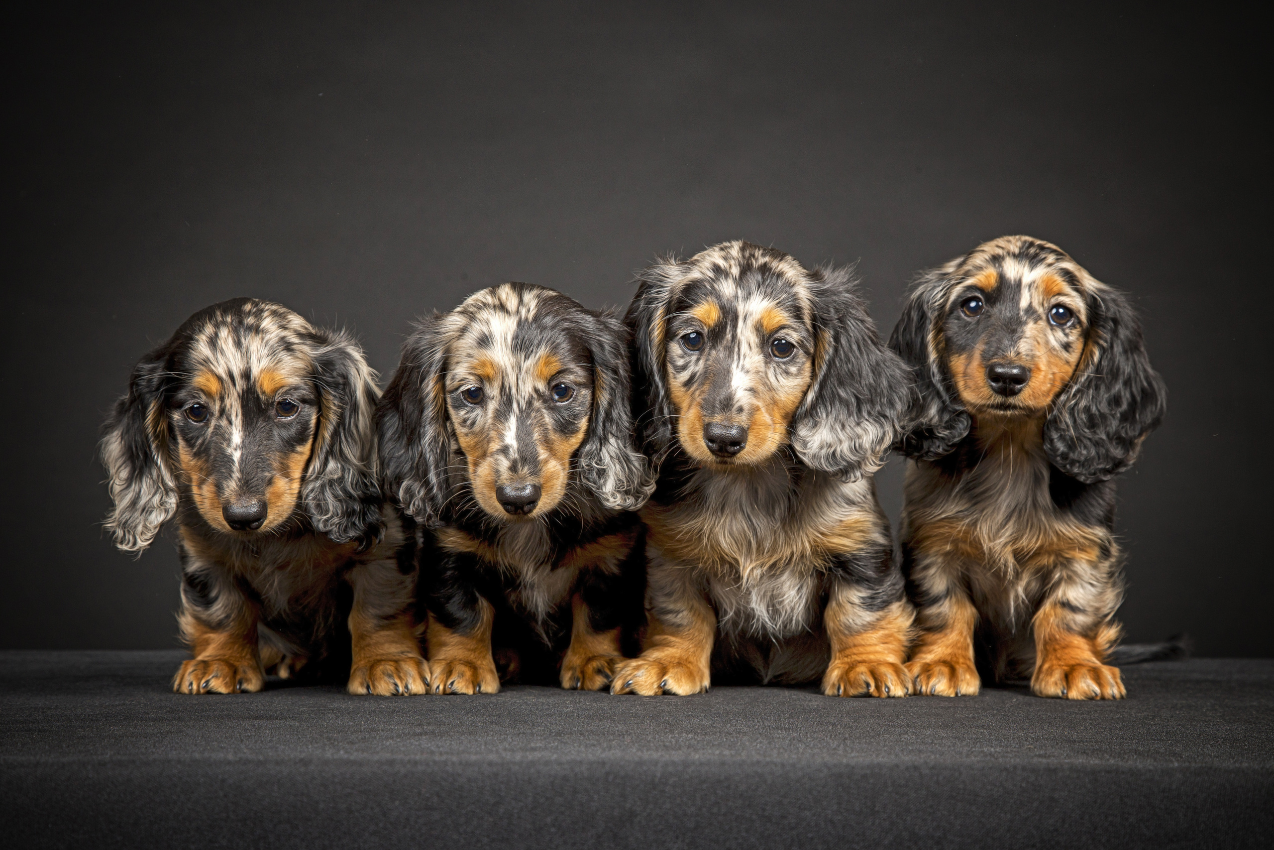 Veera. Фотограф в Таллине Виктория Баранова |фотосессии и обучение / Photographer Viktoria Baranova