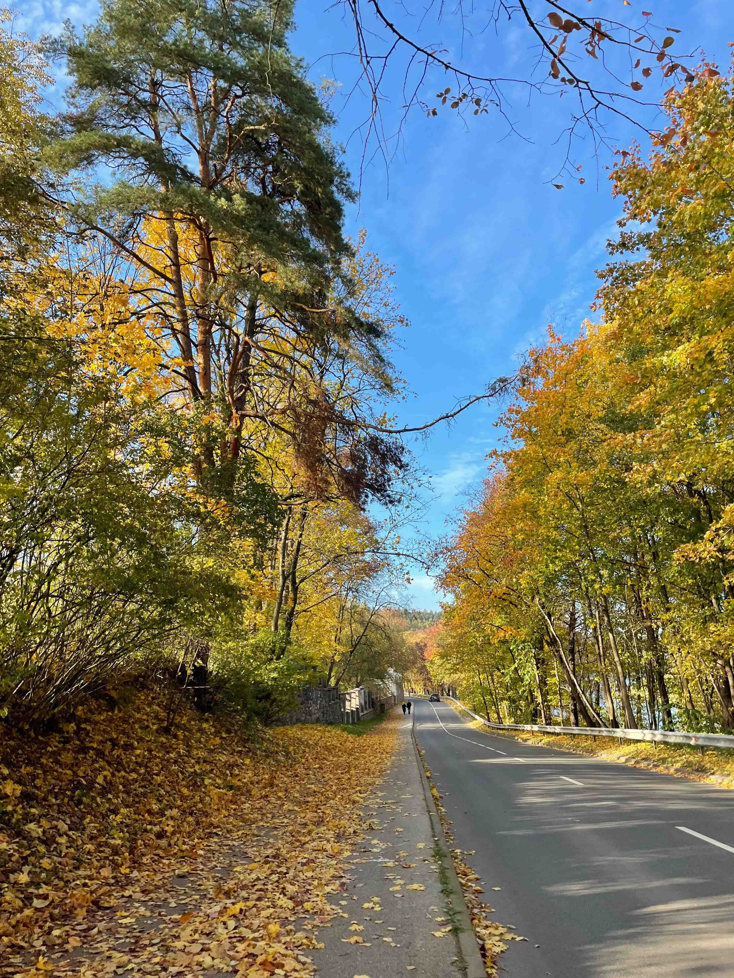 Best Autumn Photoshoot Locations in Vilnius: Top Spots to Capture the Fall Colors. Framed by Evelina | Destination Wedding Photographer from Lithuania | Europe