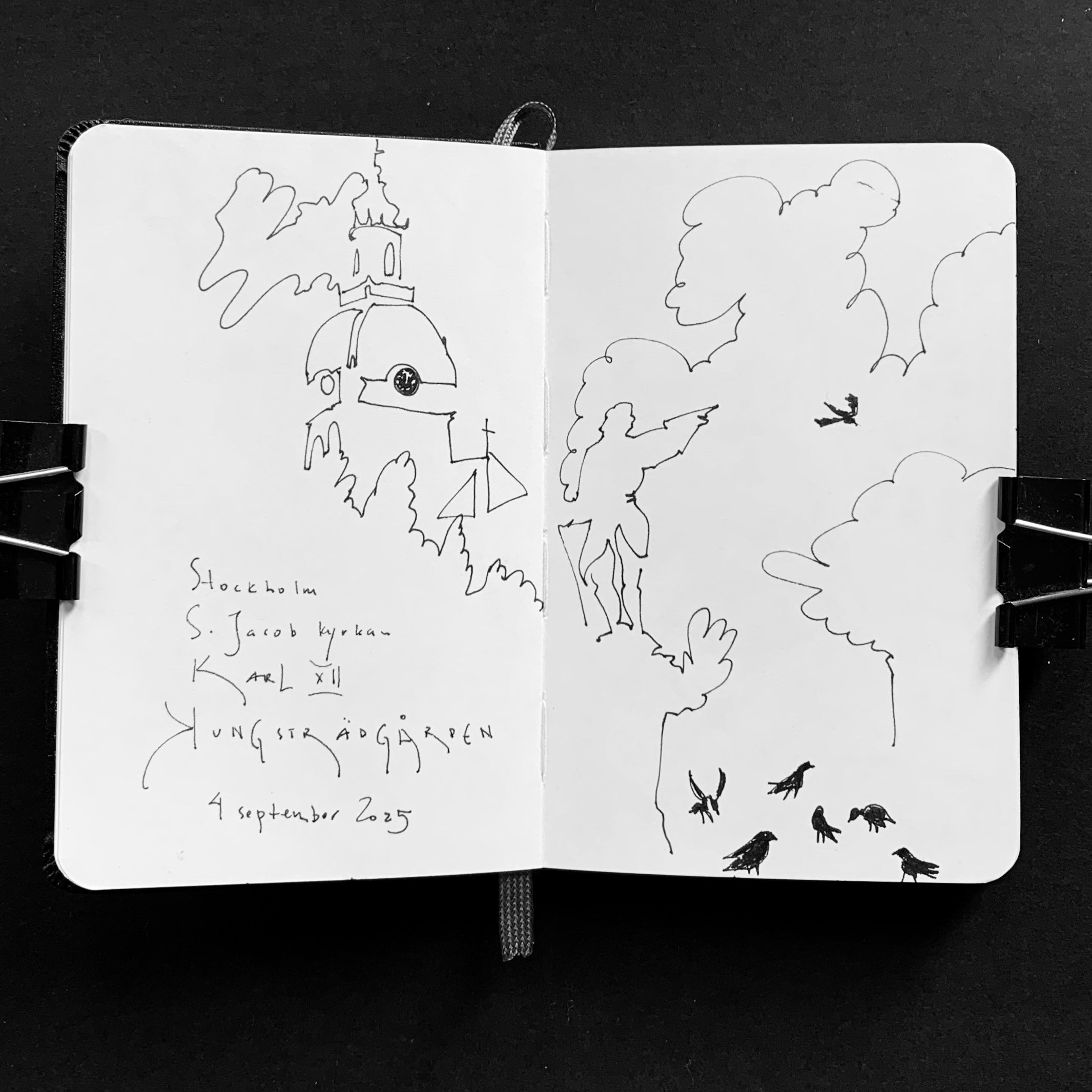 Illustrazioni in bianco e nero realizzate su taccuino Moleskine a Stoccolma, esempio di uno stile disegnato riconoscibile e di una pratica professionale consolidata. Carl  XII