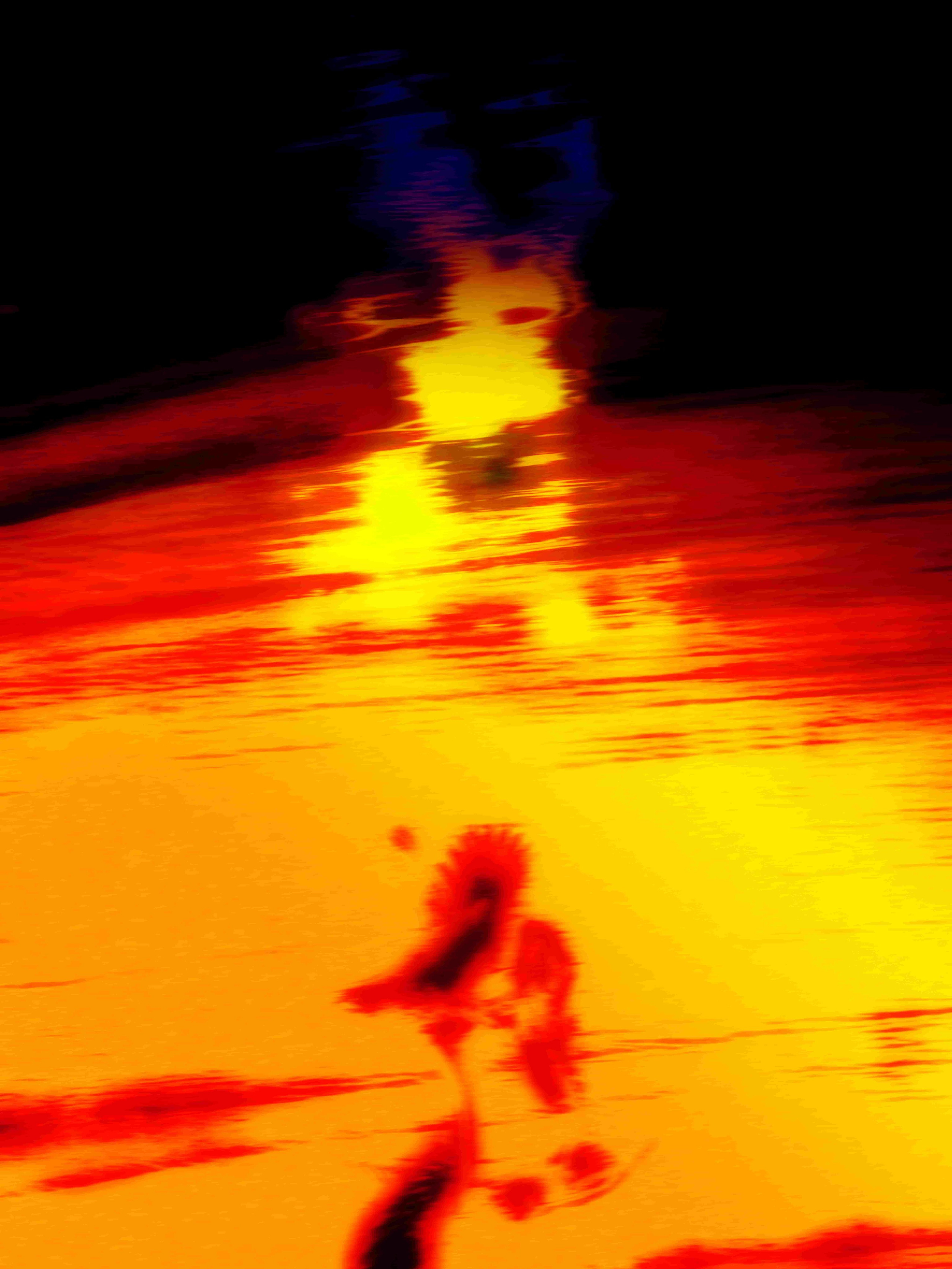 SEAGULLS. Irina Owlik — Visual Artist