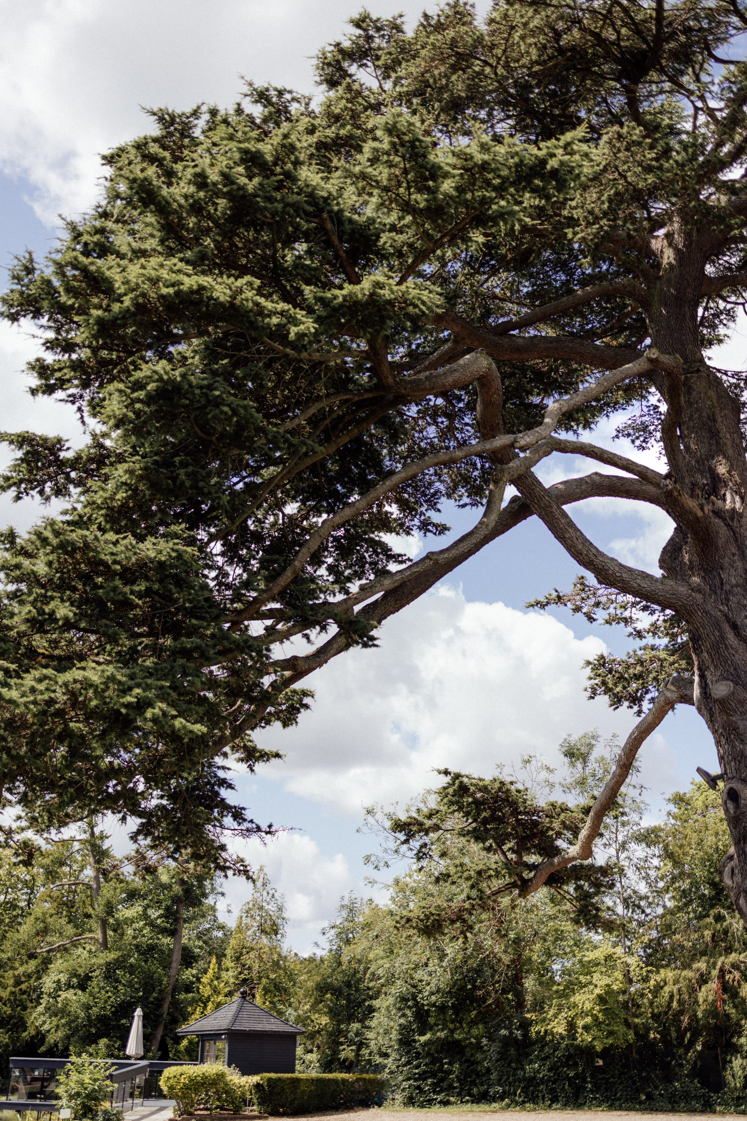 Elegant Wedding Photo Gallery in Hertfordshire. Timeless Wedding & Event Photography from London to the world