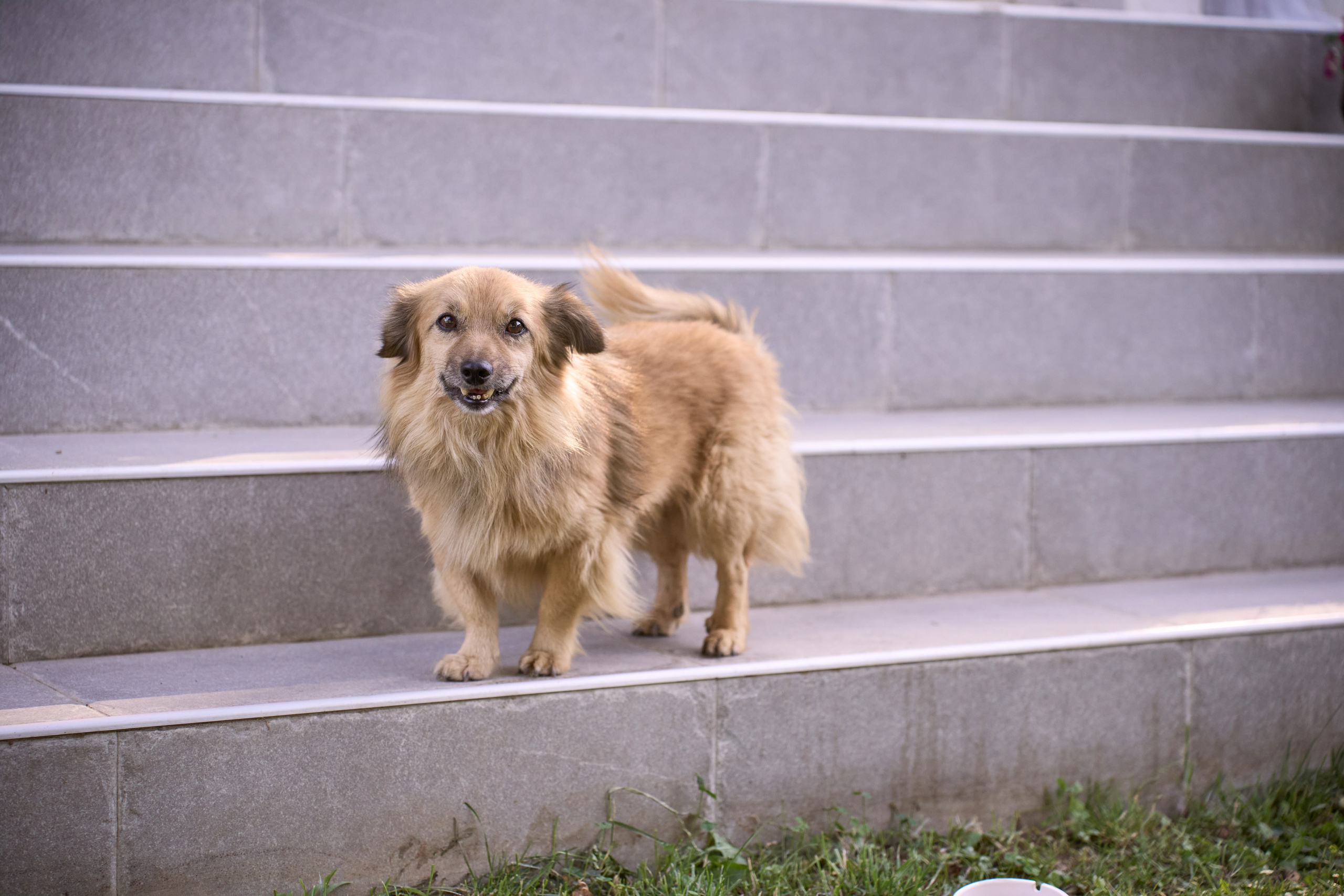 Milena bachelorette. Marko Superio | Wedding & Portrait Photographer