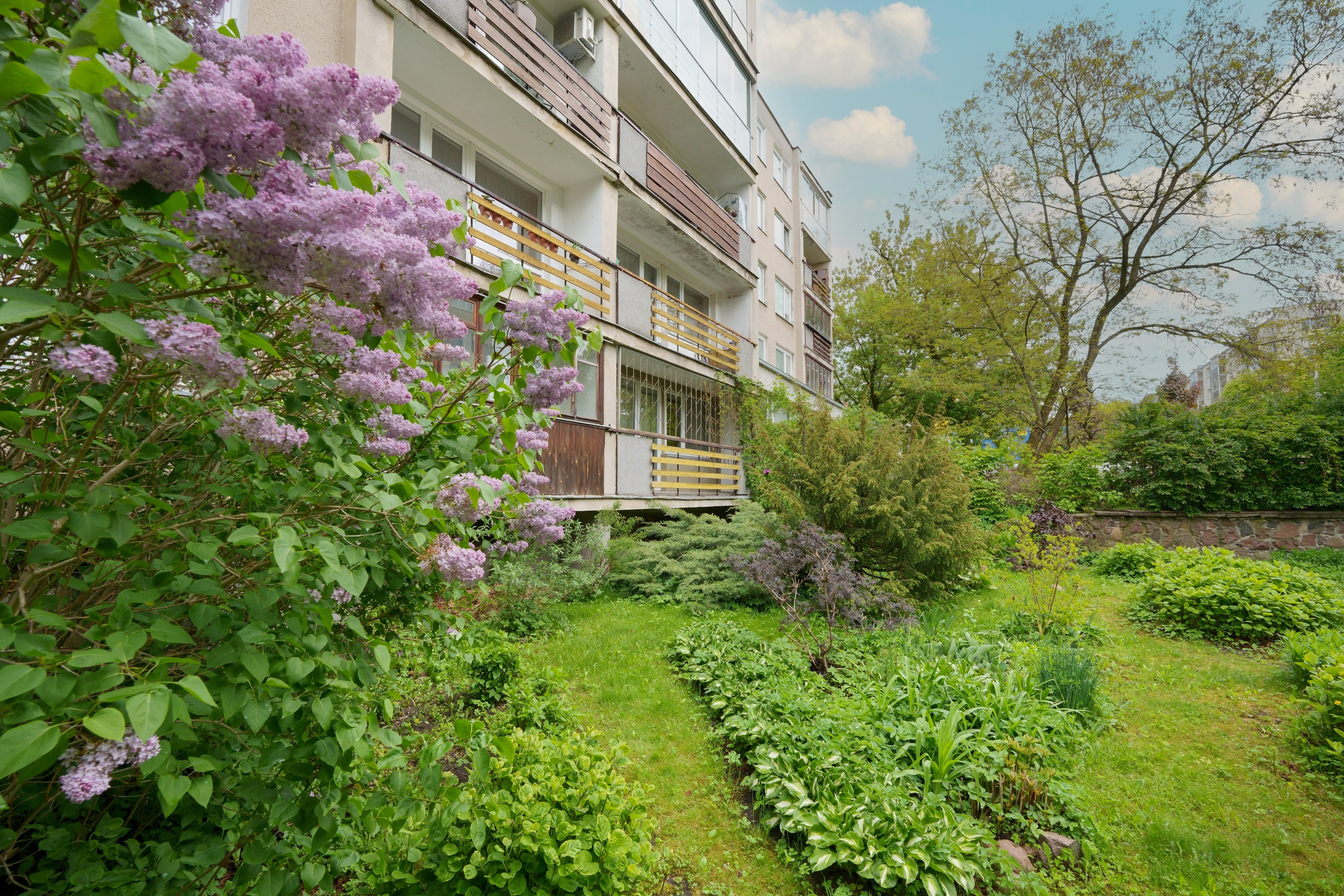 Antakalnio g. 64. Elina Sapiega fotografė Vilniuje