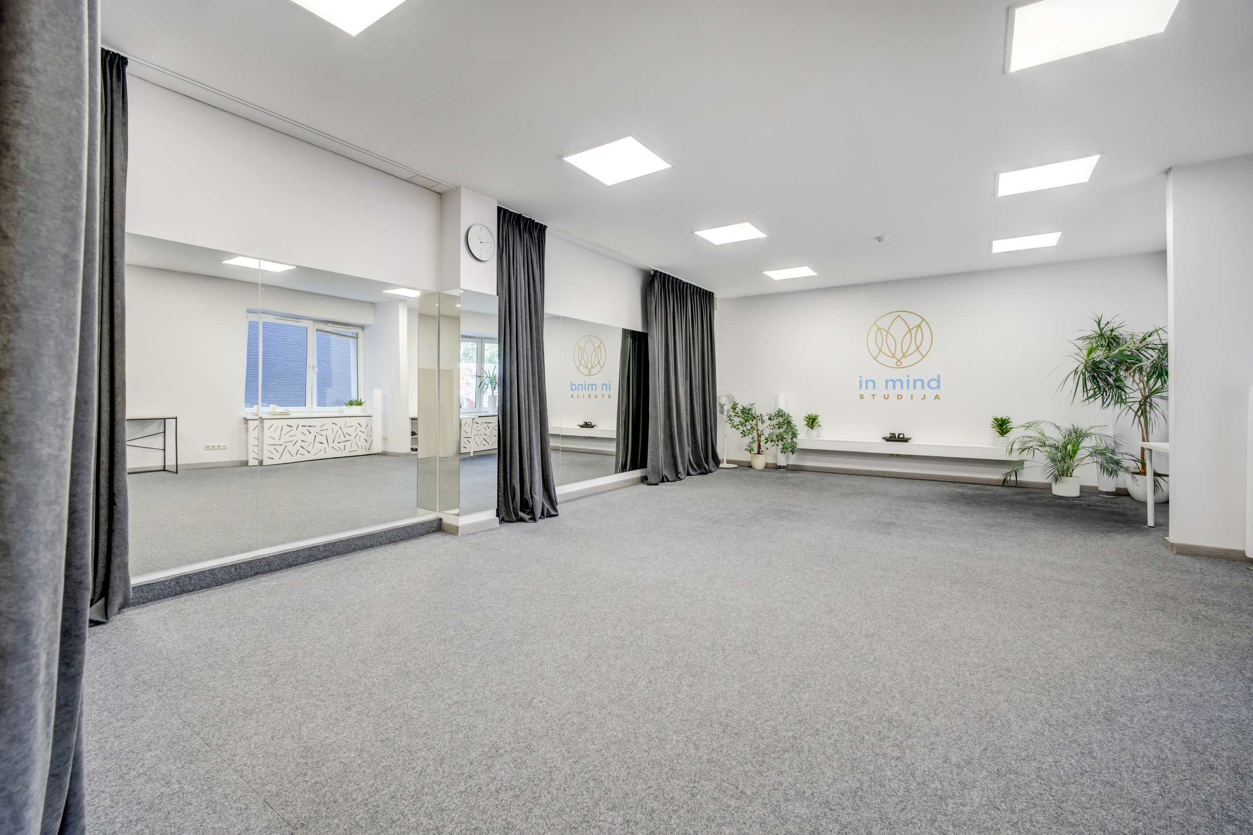 Saltoniškių g. 31. Elina Sapiega fotografė Vilniuje