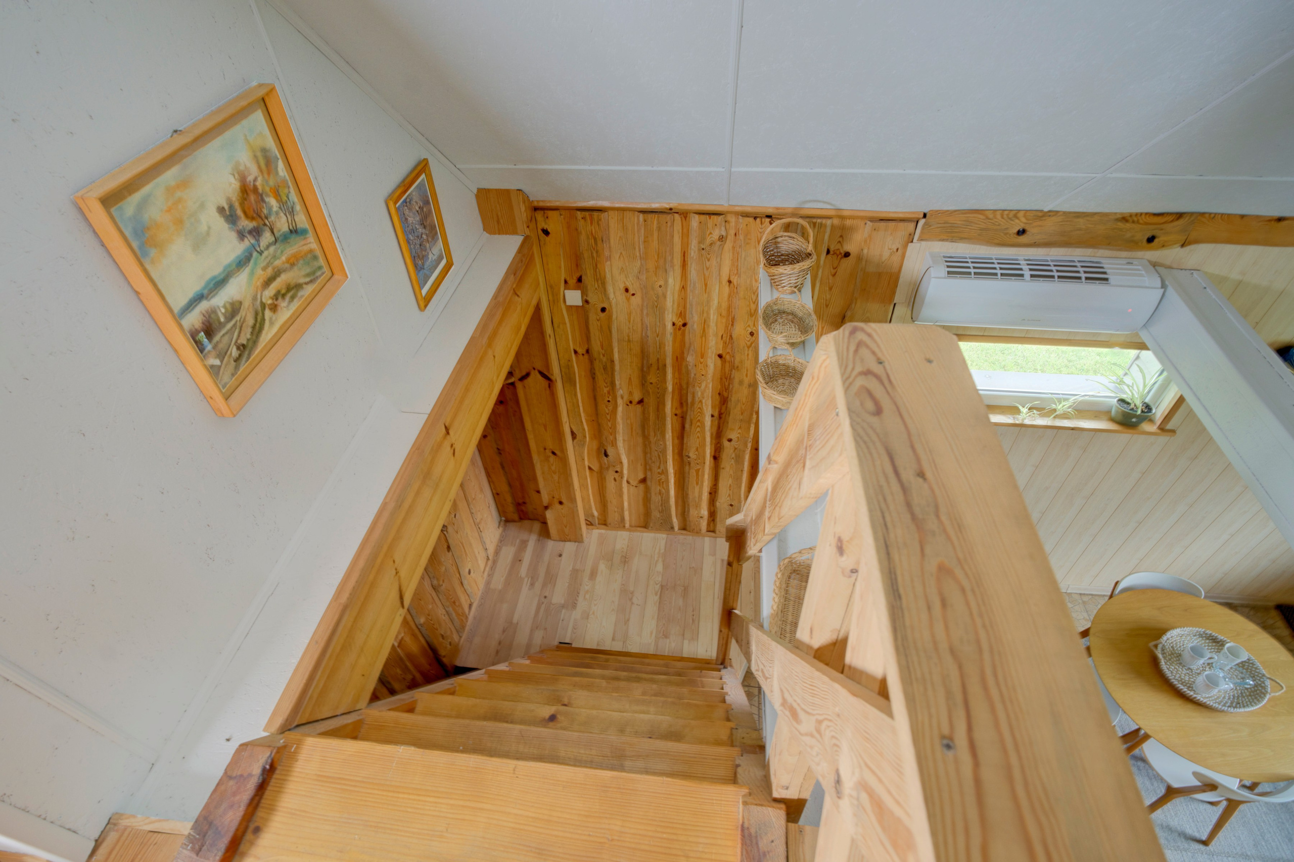 Varėnos raj. Elina Sapiega fotografė Vilniuje