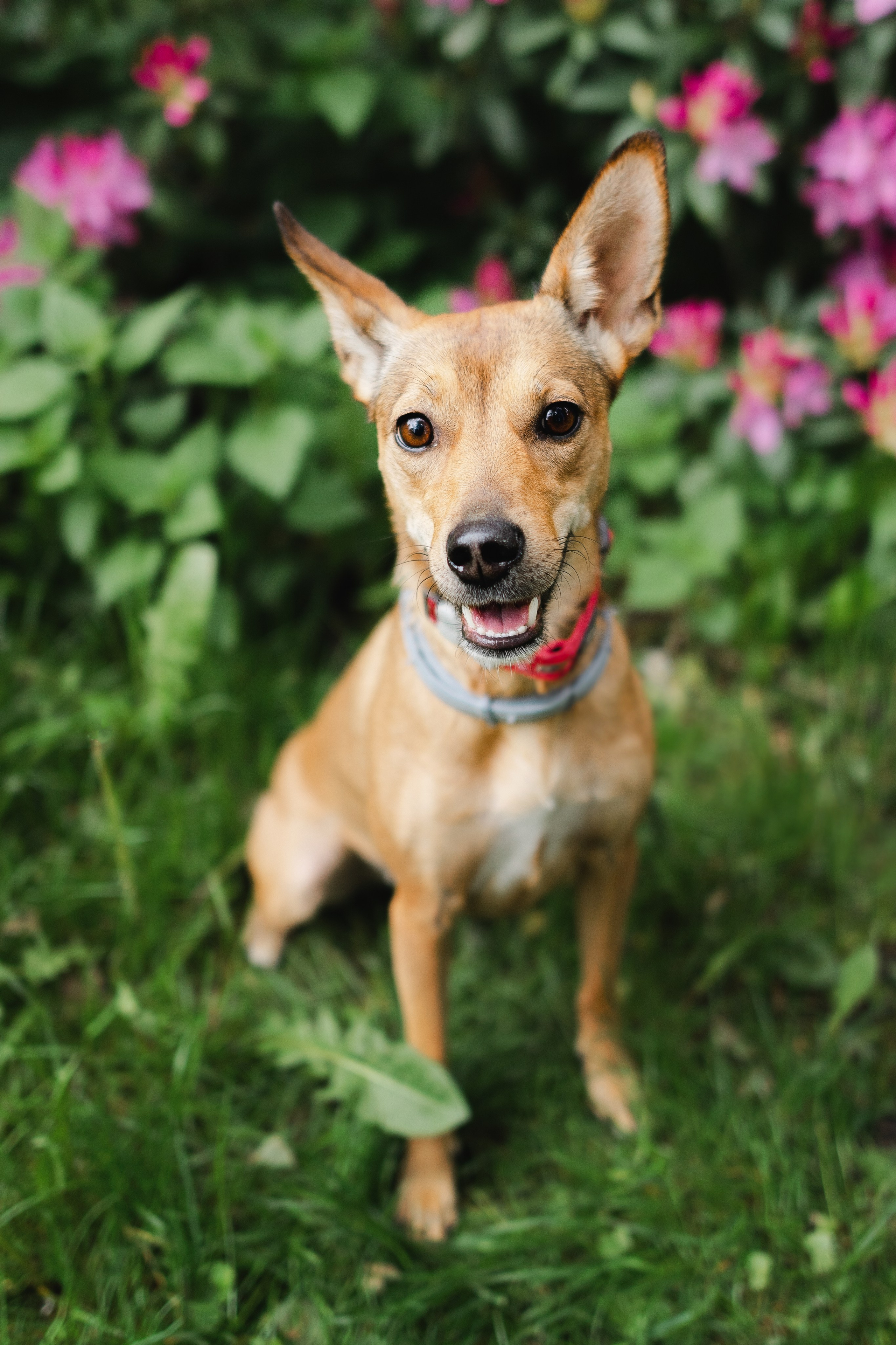Rodina. Fotografka Andrea Hlaváčová / Karlovarský kraj / Karlovy Vary Sokolov