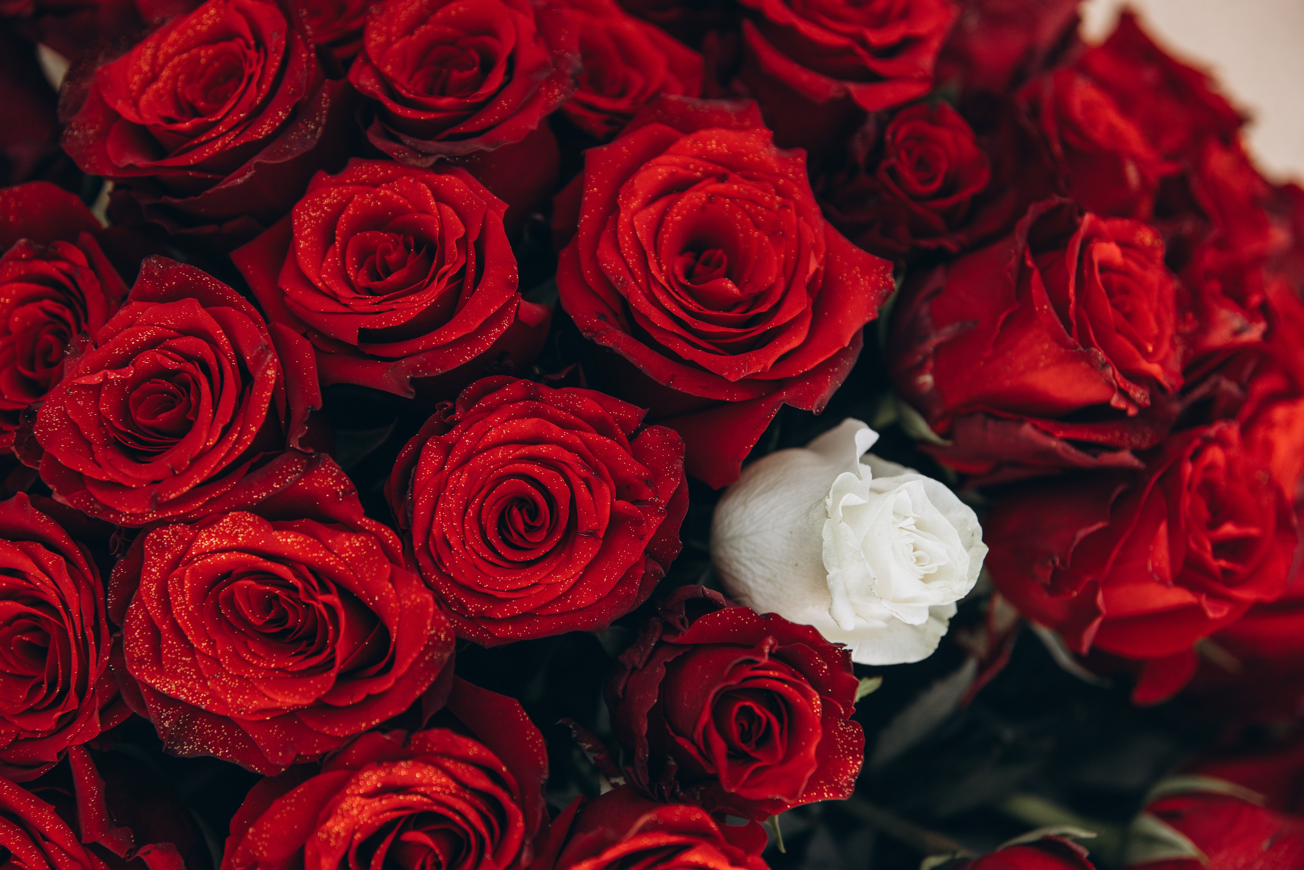 Pedido de Casamento. Luxury Wedding Photography & Cinematic Films | Portugal & Destination Weddings | Ricardo & Mary Pictures