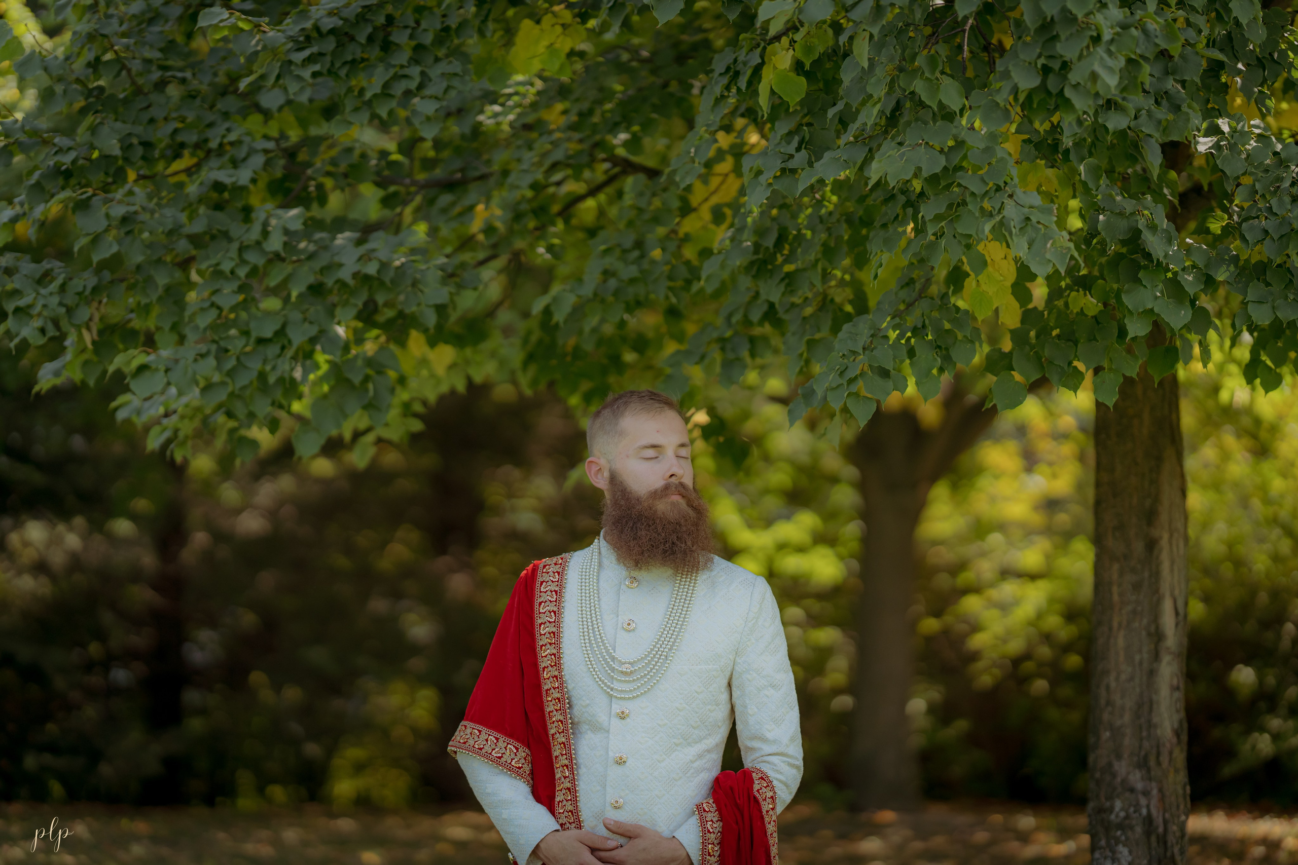 Arti & Dan. Wedding Photographers and Filmmakers