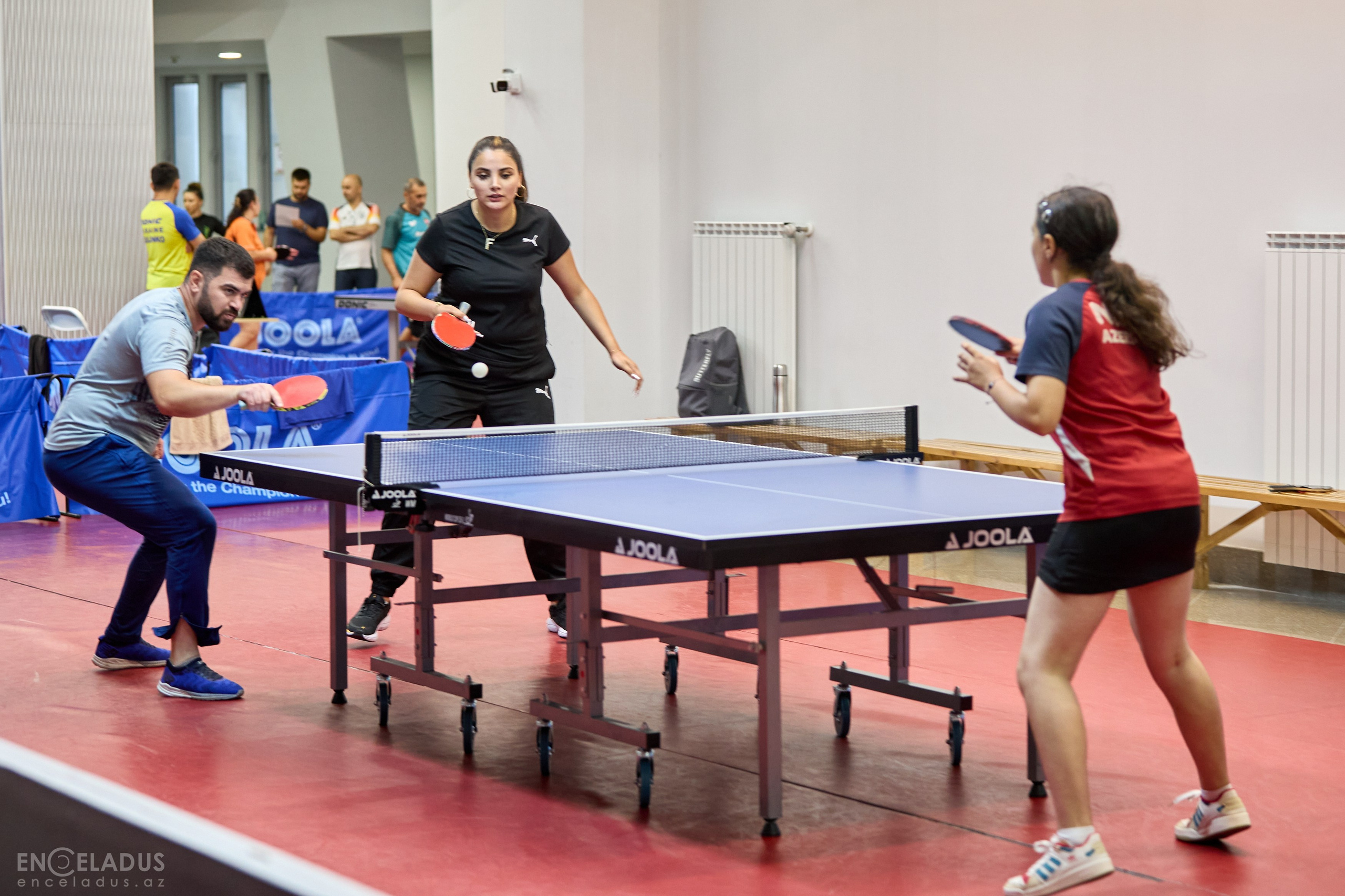 Table Tennis. Mix Tournament. Фотограф в Баку Kamran Enceladus