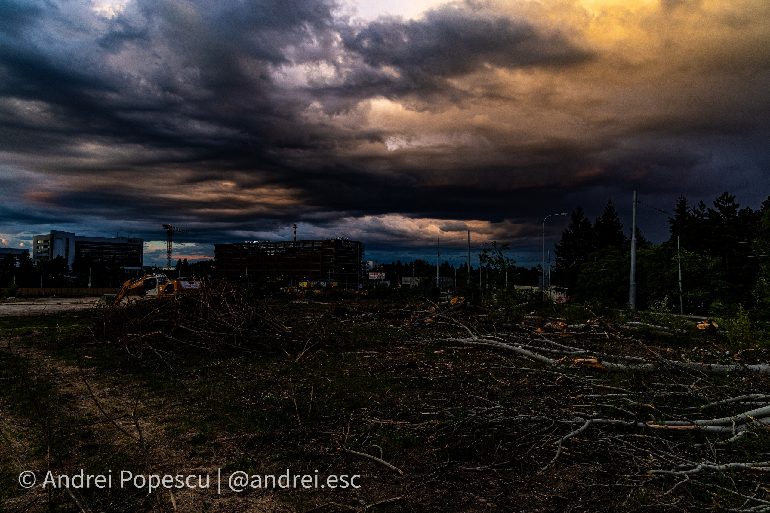Scenery. Andrei Popescu Photography