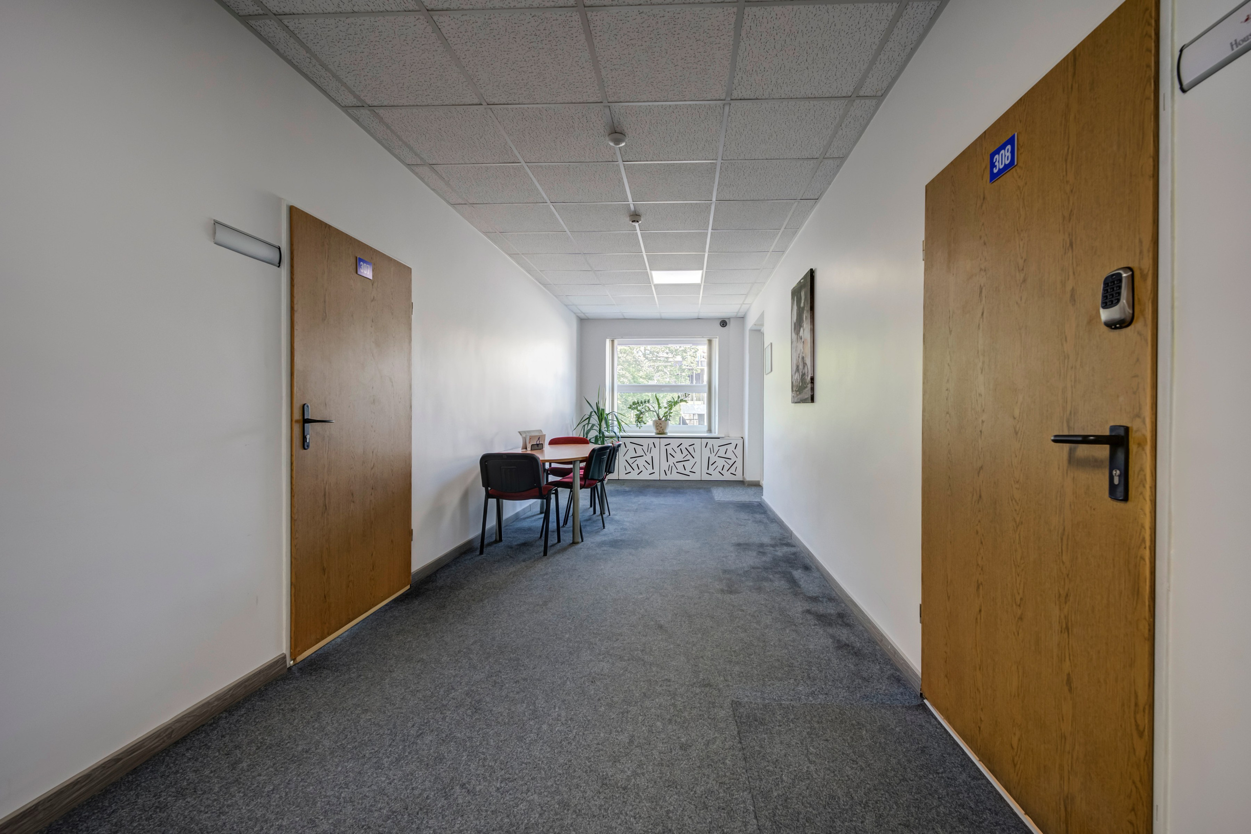 Saltoniškių g. 31. Elina Sapiega fotografė Vilniuje