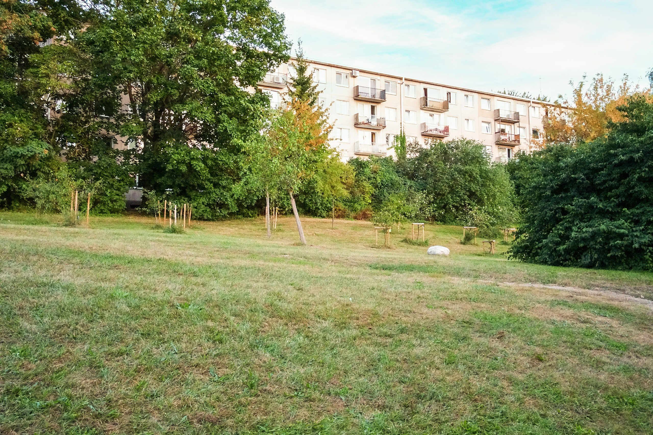 Vileišio g. 24. Elina Sapiega fotografė Vilniuje