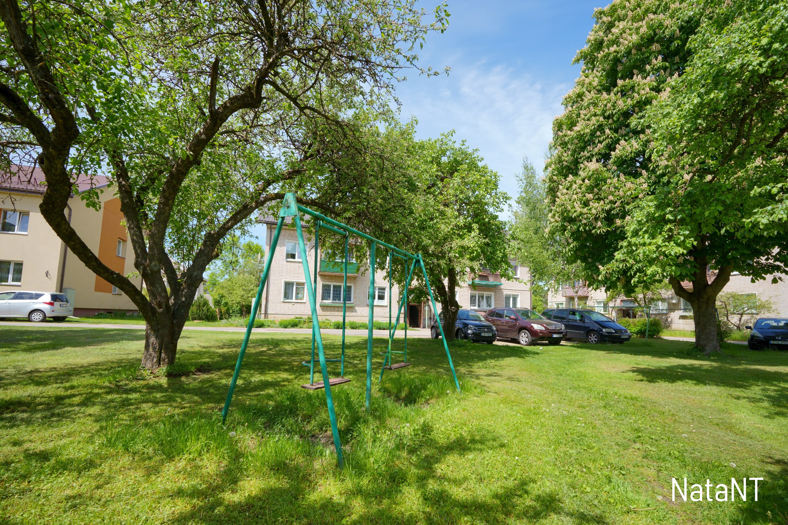 Grigiškės. Elina Sapiega fotografė Vilniuje