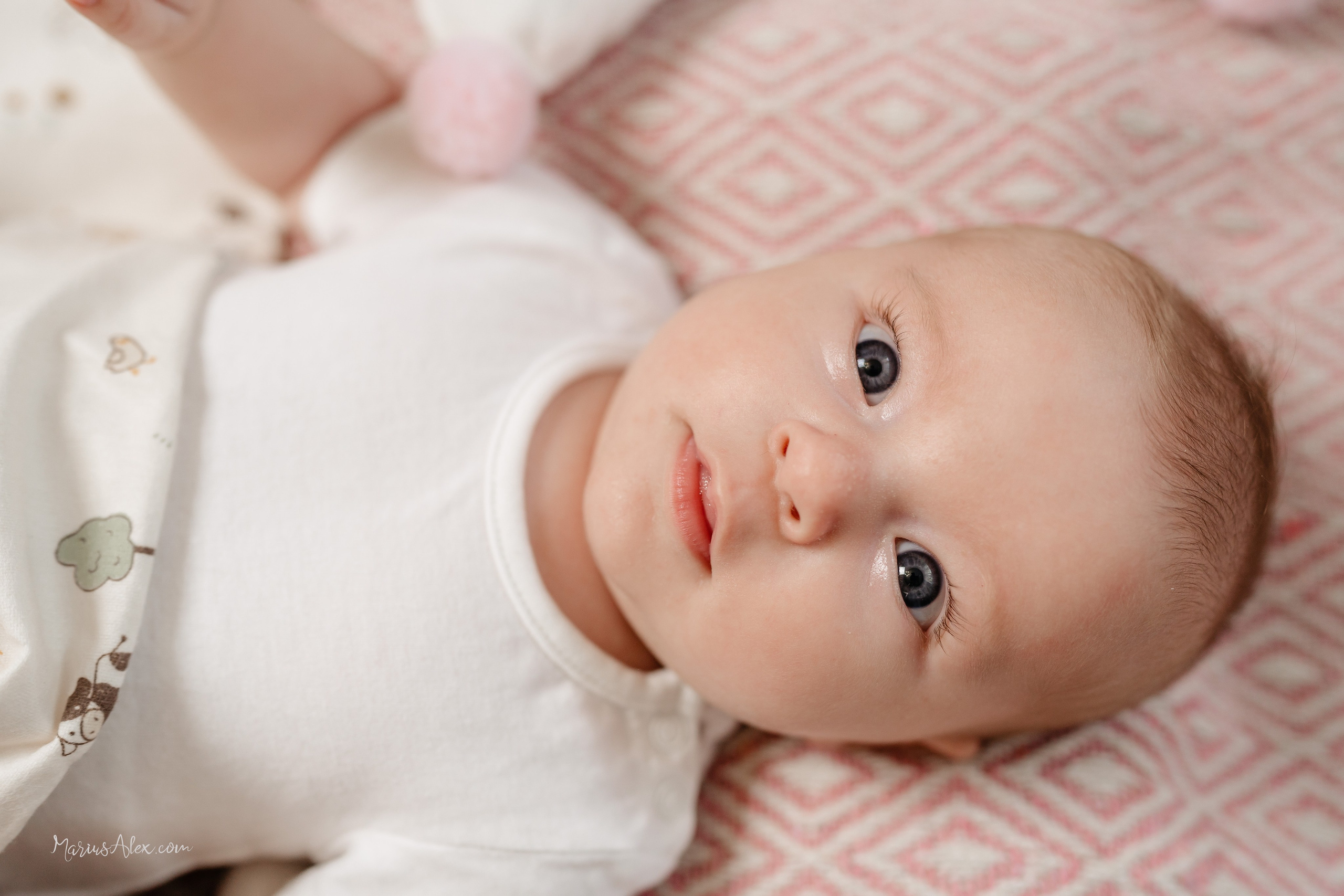 Alexia Nina. Marius Alex fotograf de eveniment si portret din Suceava