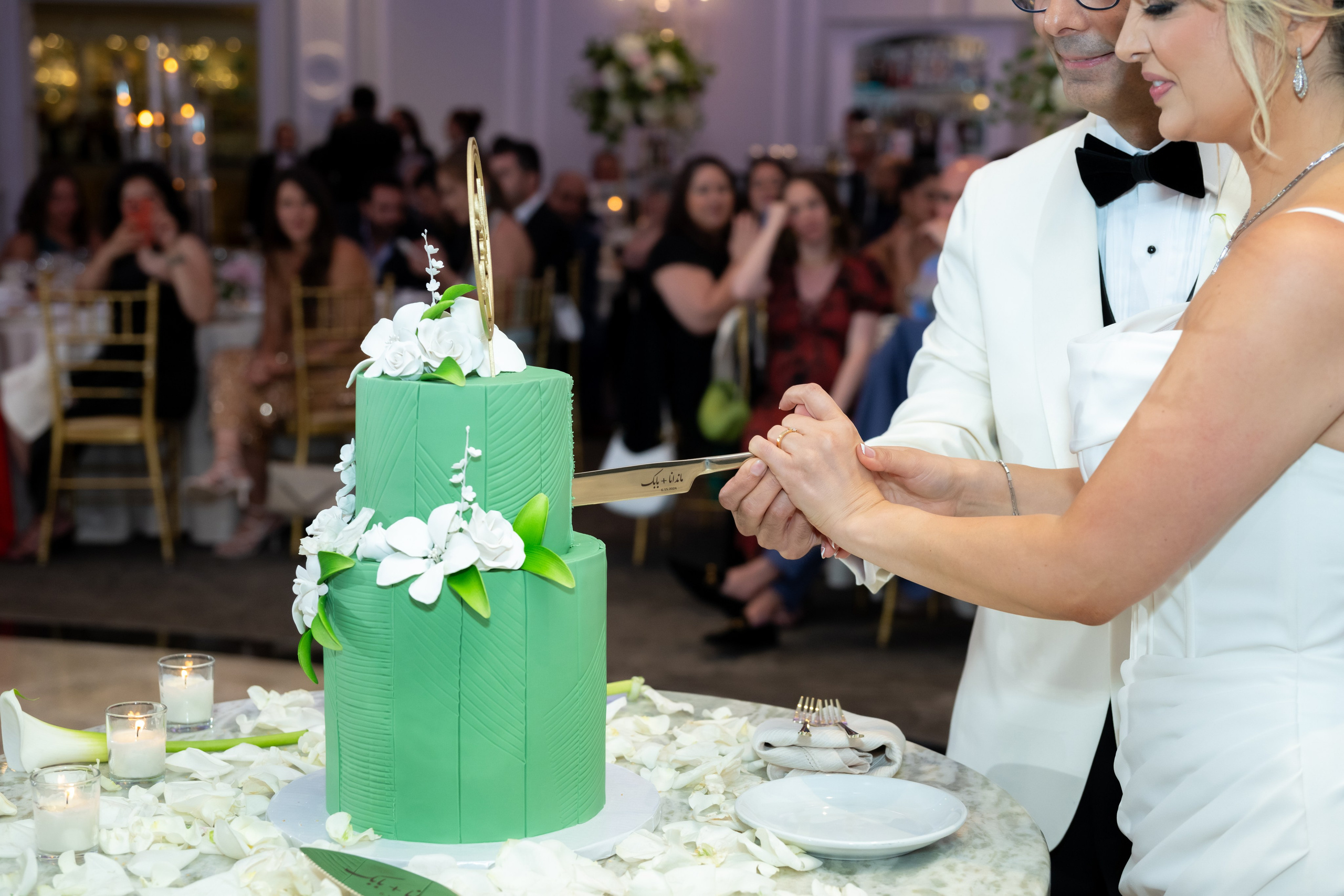 Mandana & Babak. Wedding Photo & Video