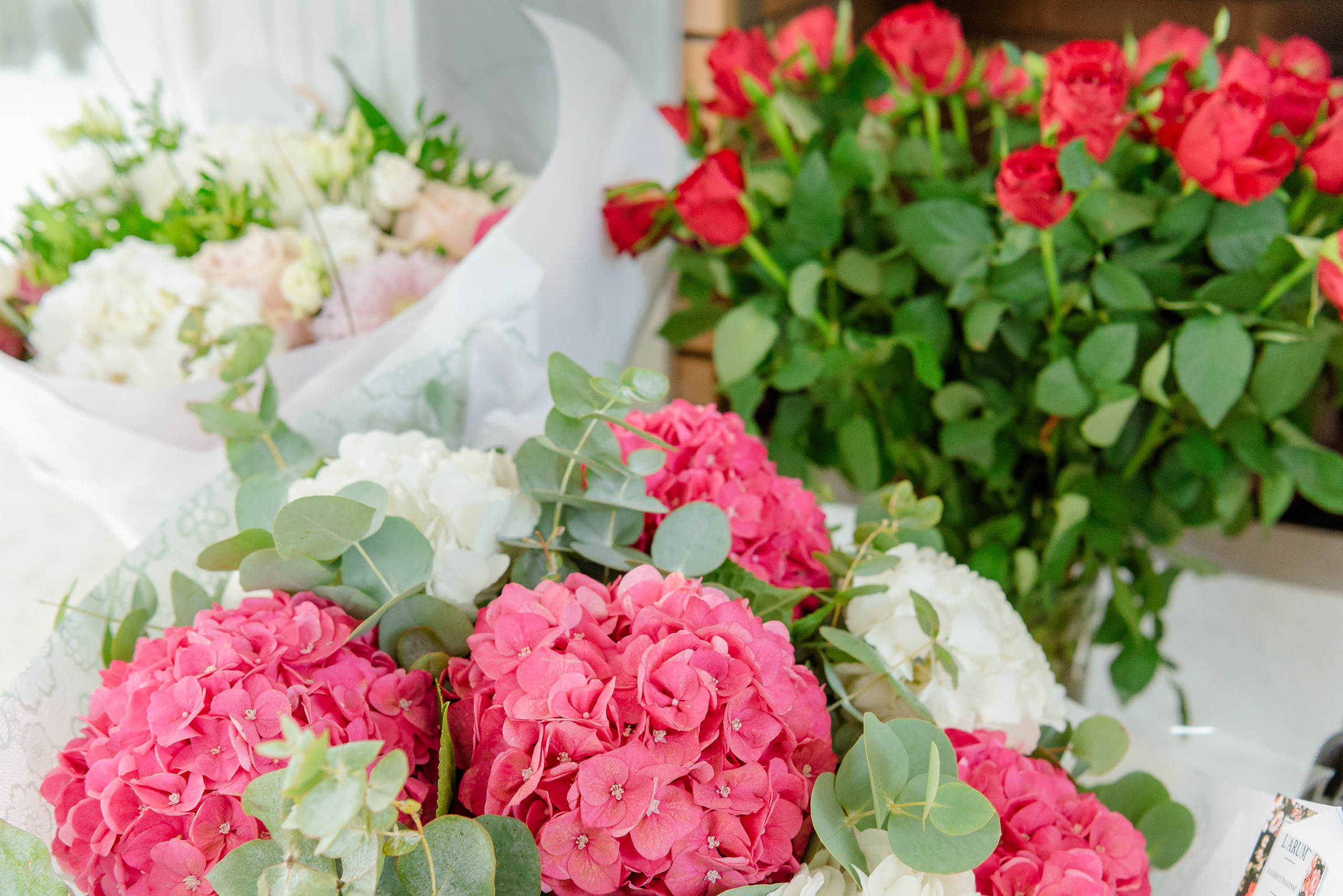День рождения Александры. МАРИЯ ВАЛУЕВА Фотограф в Ницце, Каннах, Монако, Франции, Европе. Фотограф в Стамбуле