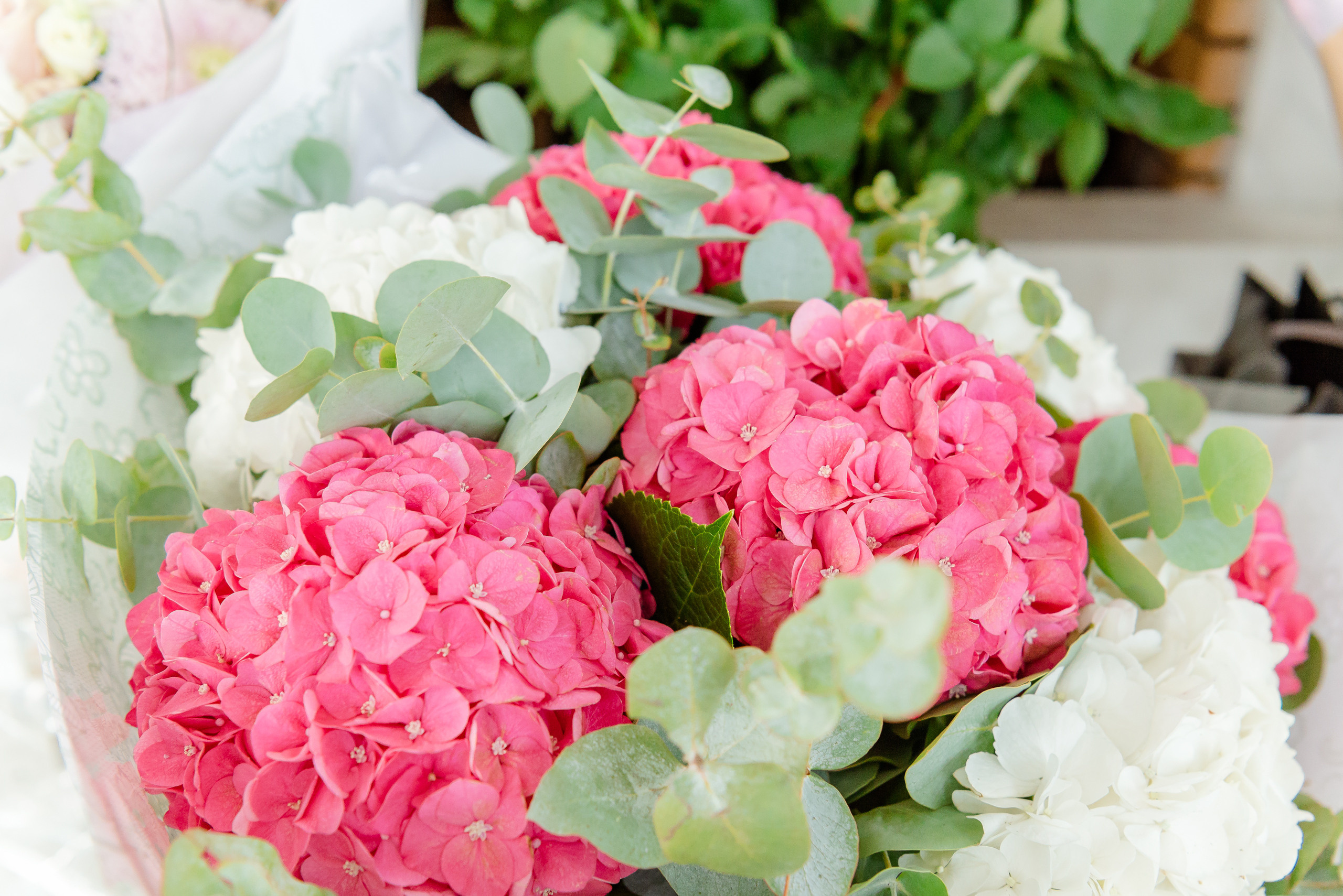 День рождения Александры. МАРИЯ ВАЛУЕВА Фотограф в Ницце, Каннах, Монако, Франции, Европе. Фотограф в Стамбуле