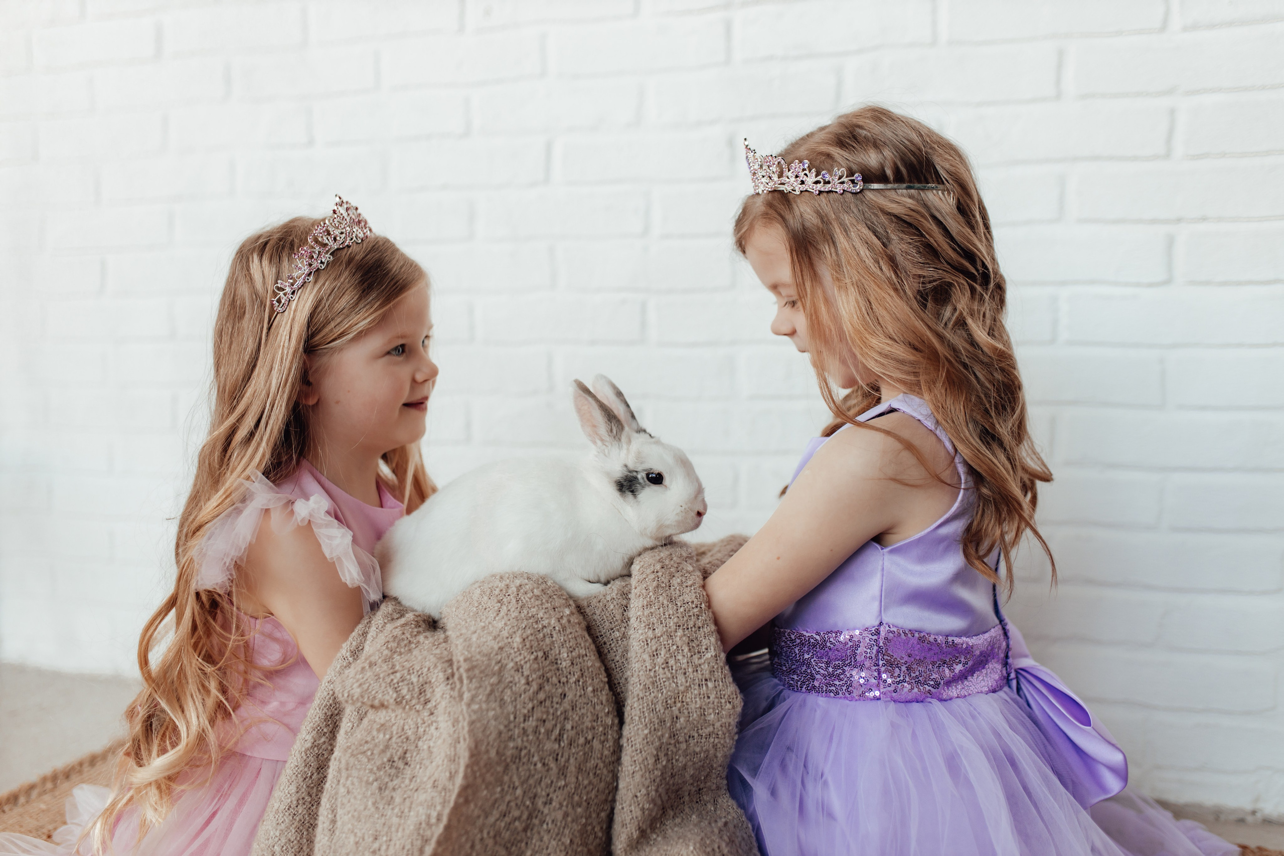 Zaķīši un kaķīši