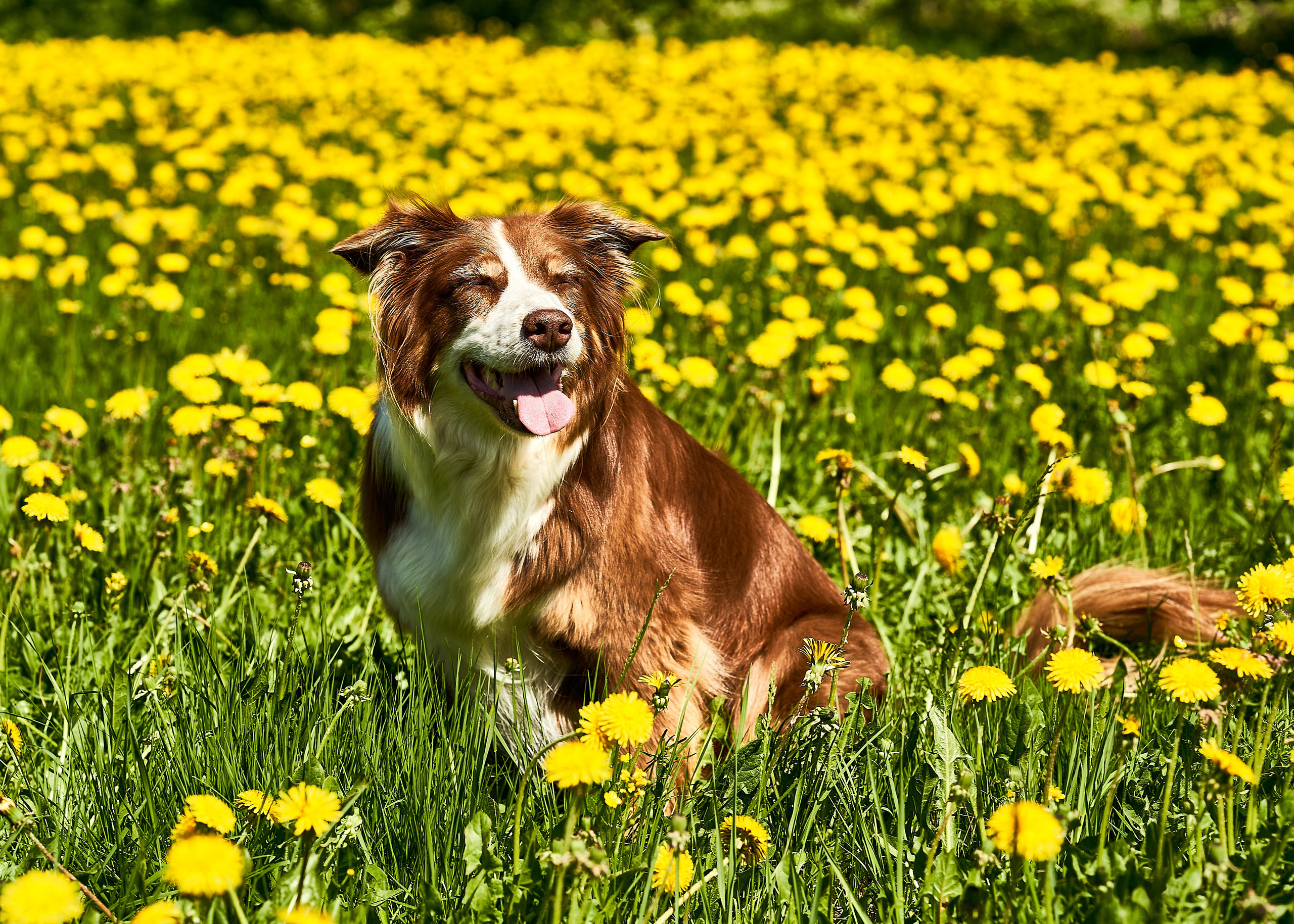 Barnfotografering. Family and portrait photographer Natalja Biteniece