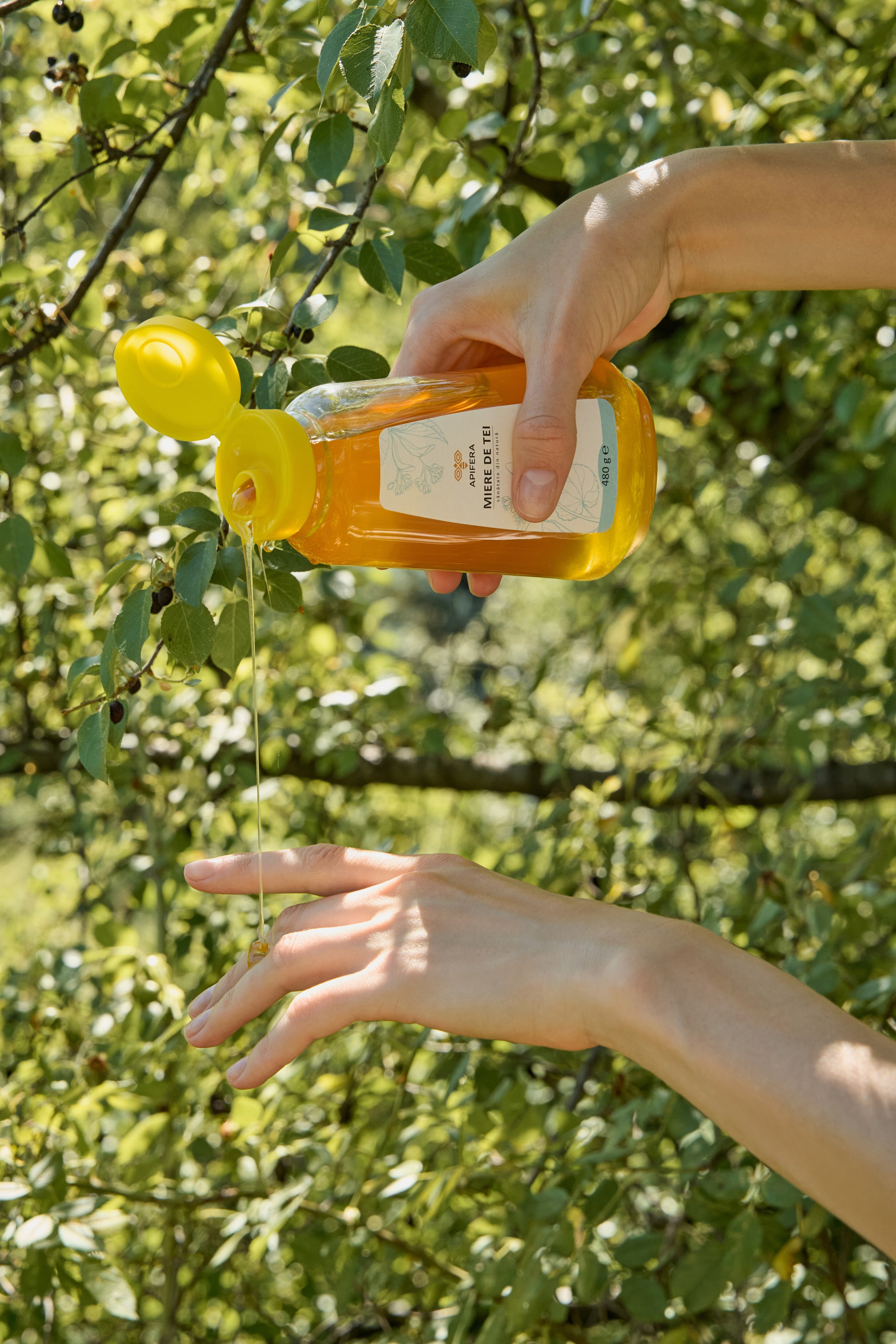 Apifera. Привет