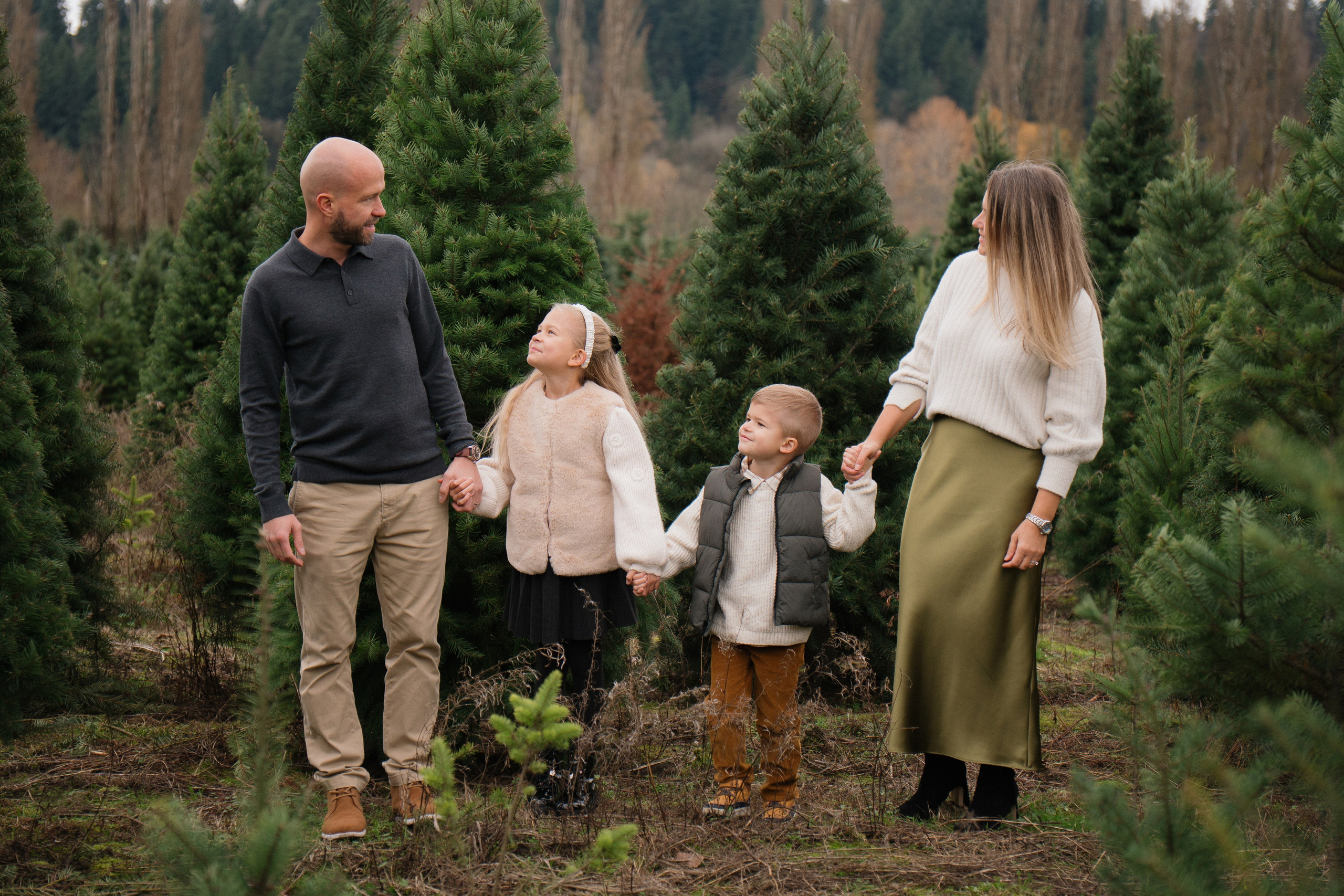 Christmas sessions. Photographer in Washington Sophia D