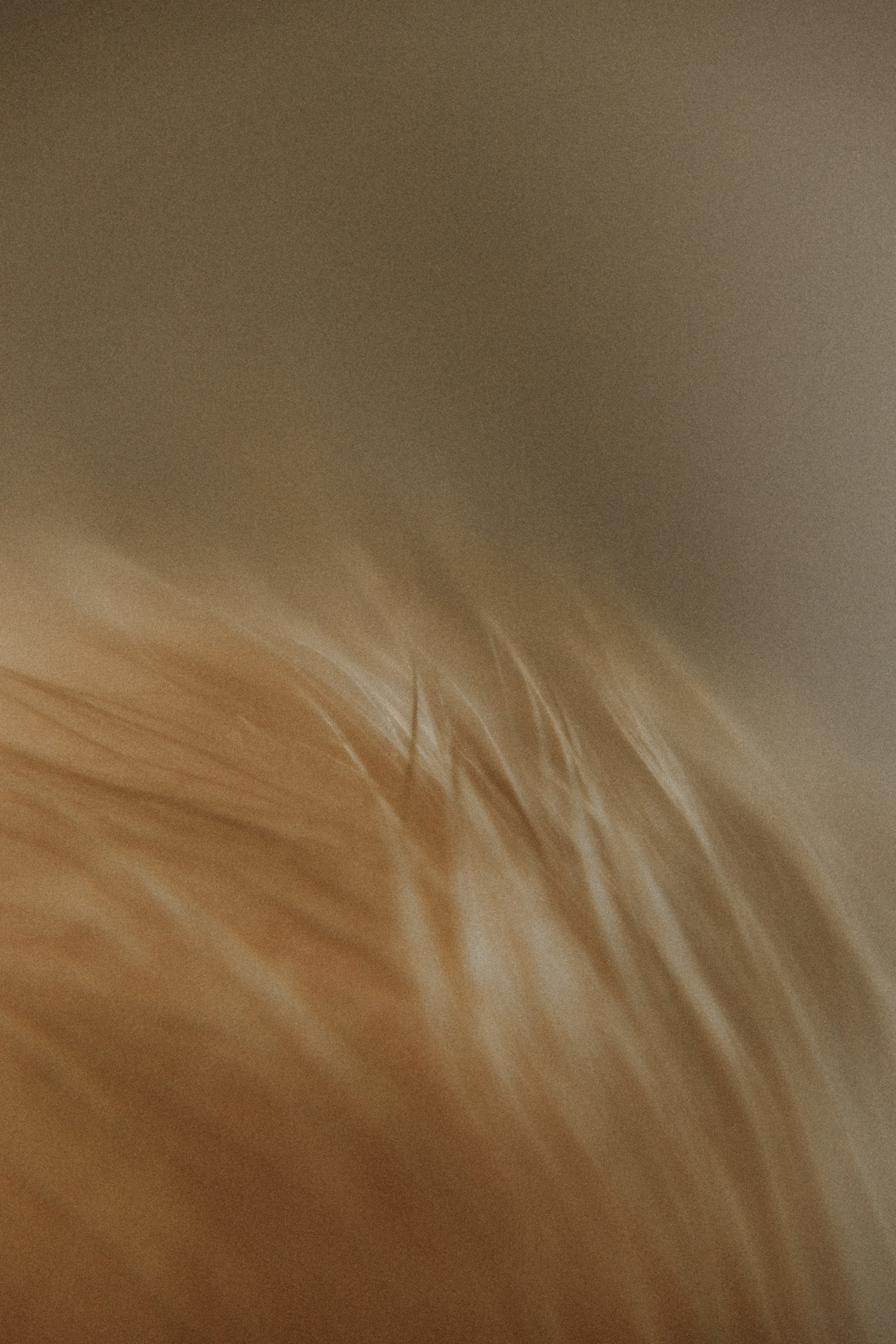 Baby Boy. Фотограф Ирина Йотова