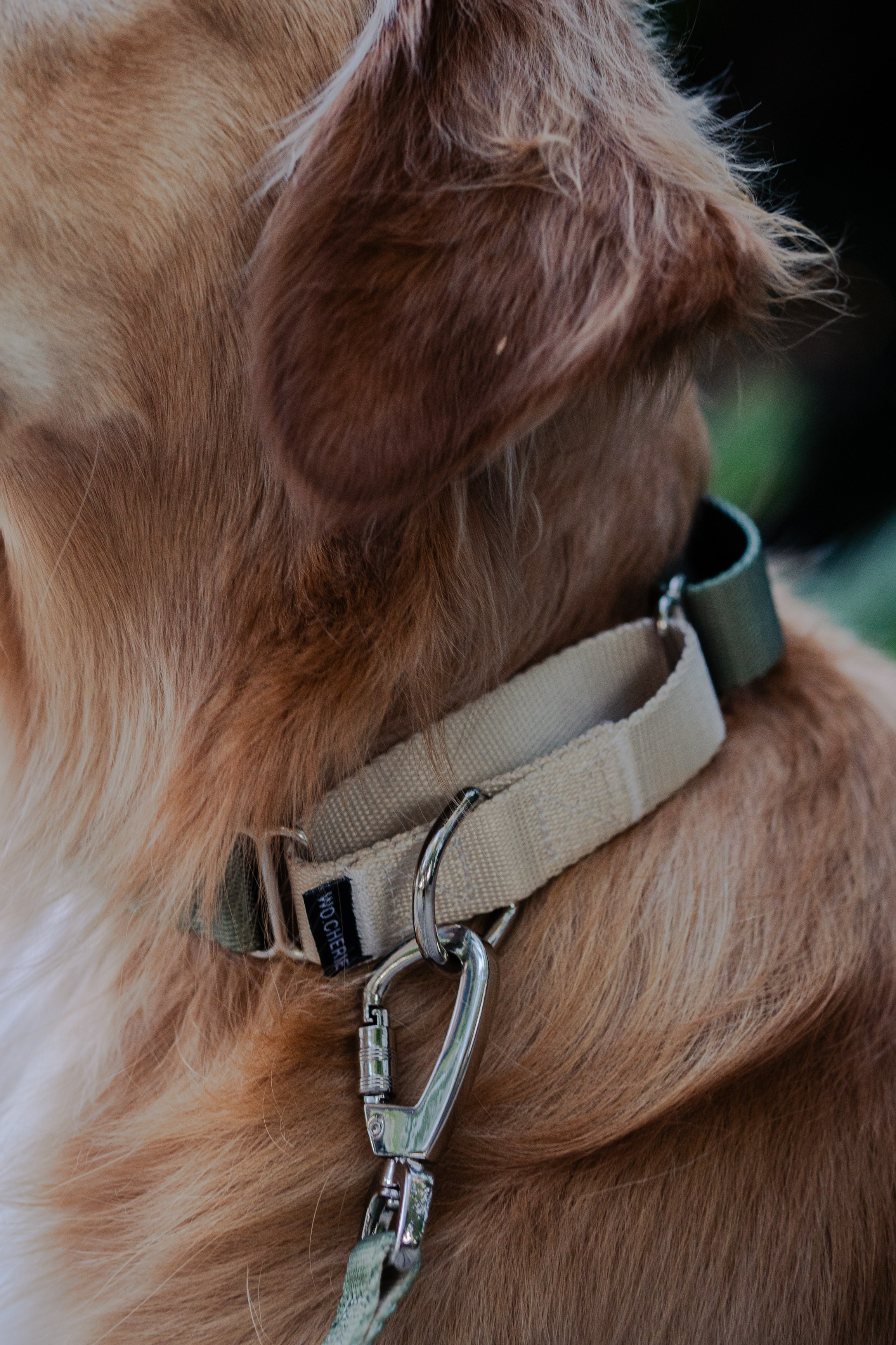 Wo.cherie. Lisbon Event Photographer