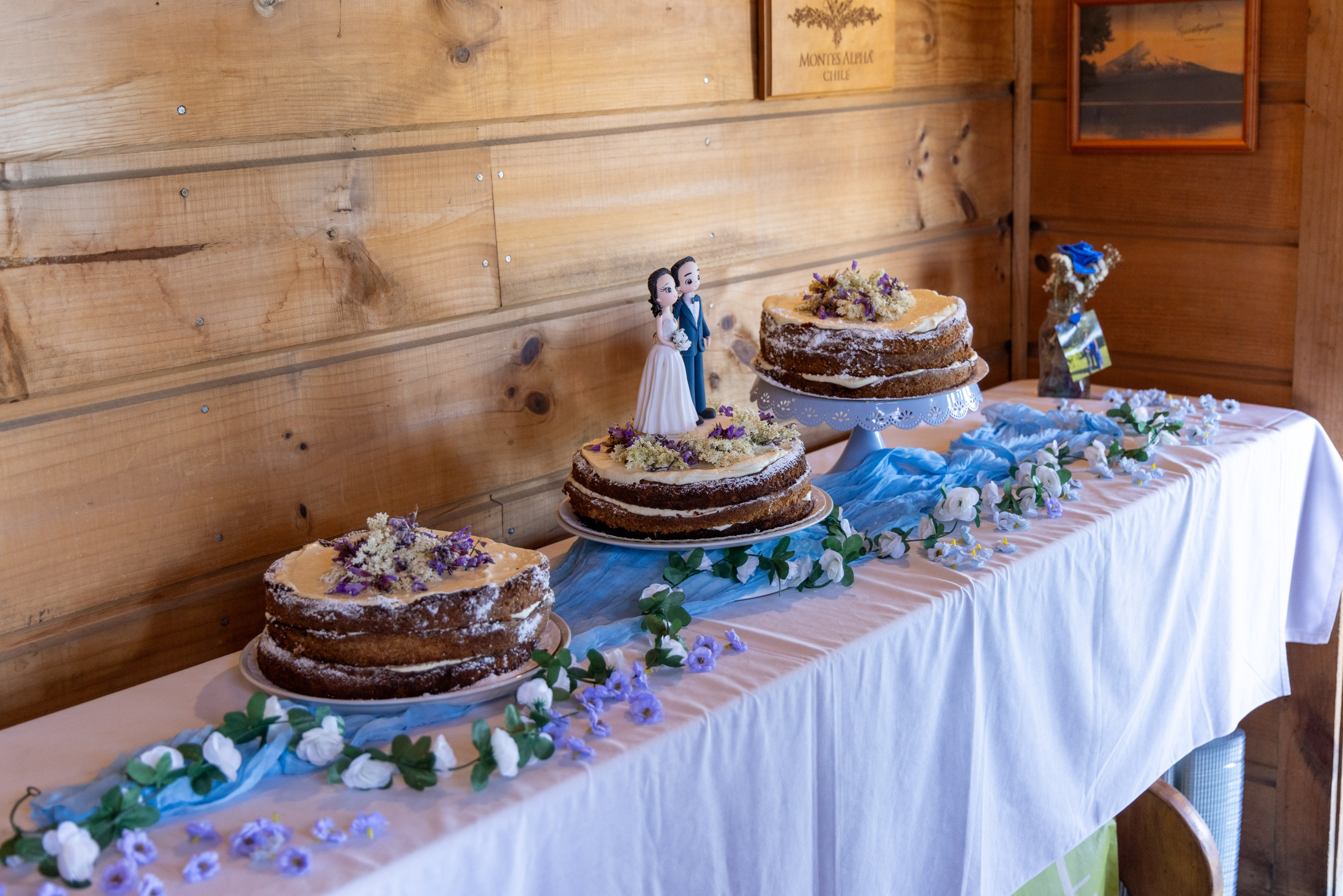 Carol & Ivo. Dinka & Emilio - El arte de preservar lo que no se repite