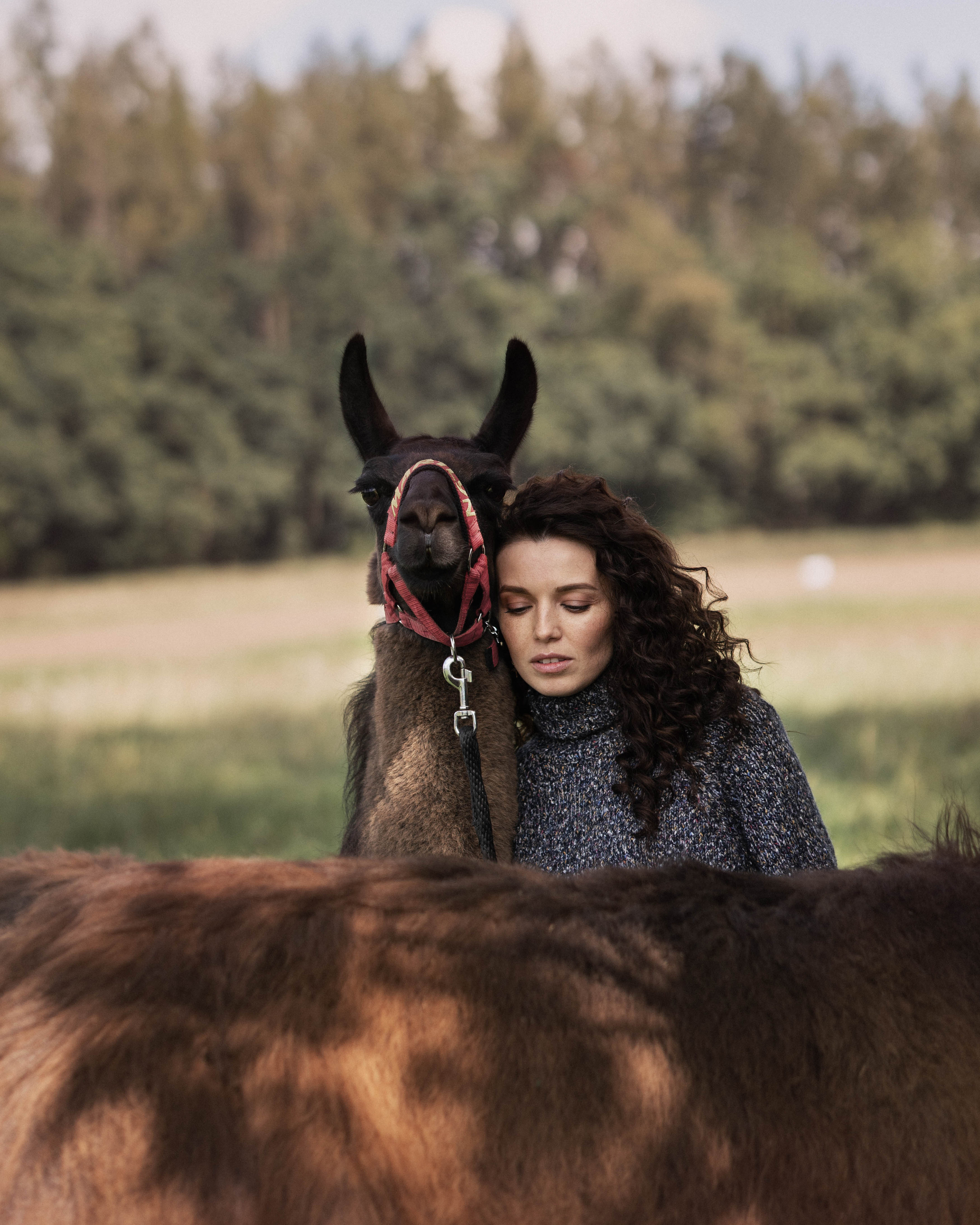 Съемки с животными. Фотограф в Праге Анастасия Широких